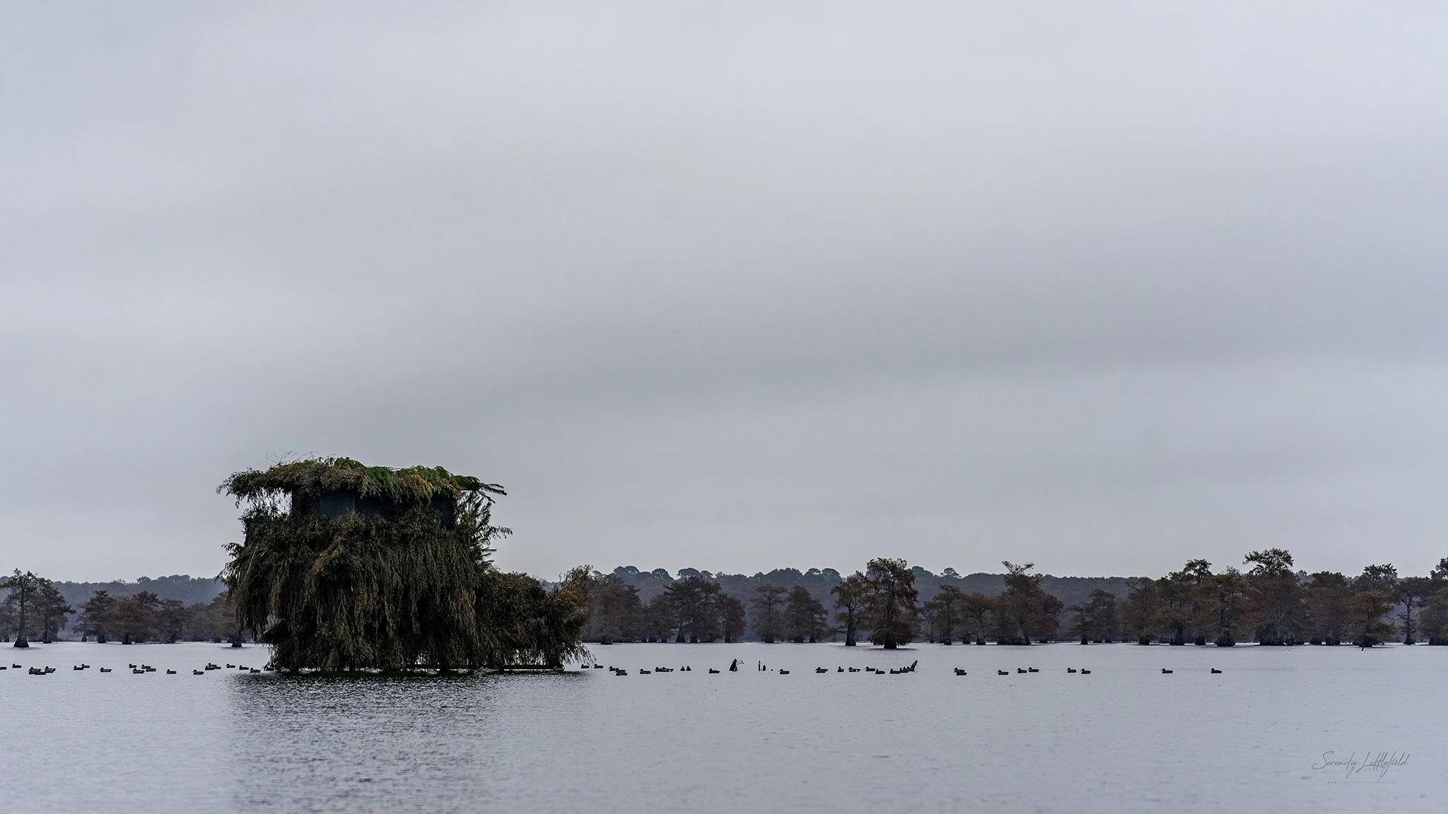 Caddo_Lake_2023_SLL-07451-Edit.jpg