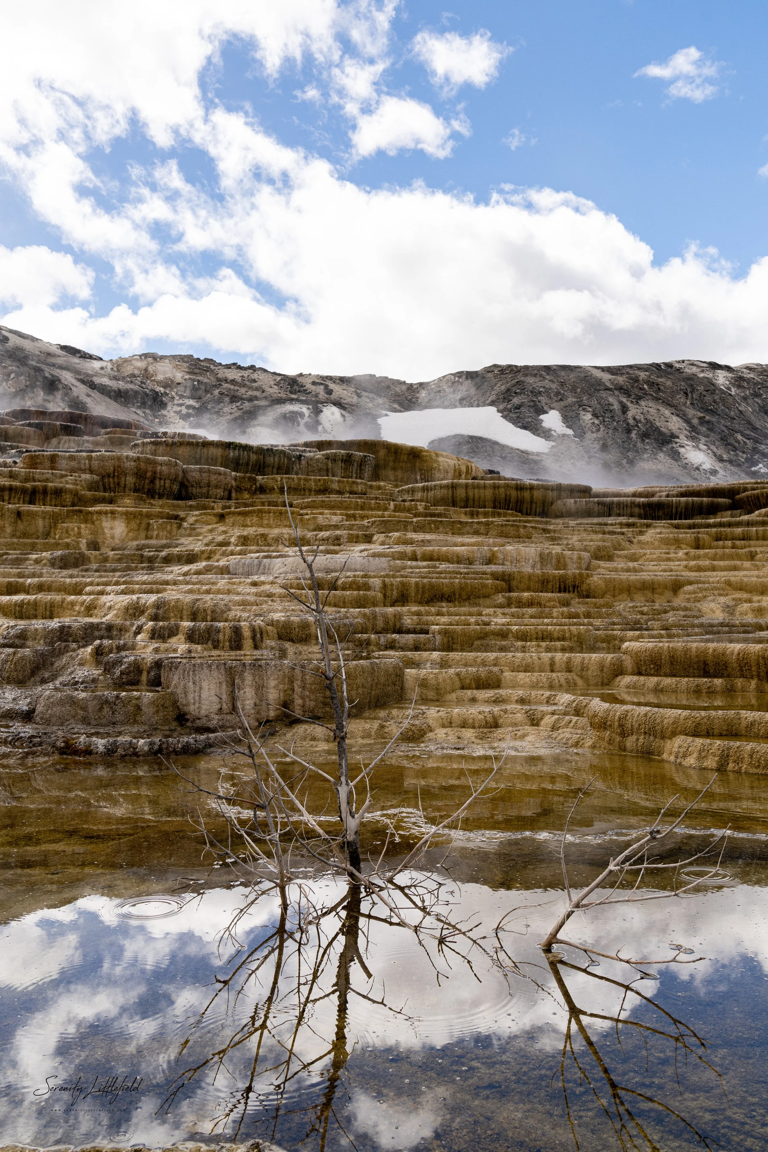 YellowstoneNP_2024_Sony_a7rIV_SLL-08036-Edit.jpg