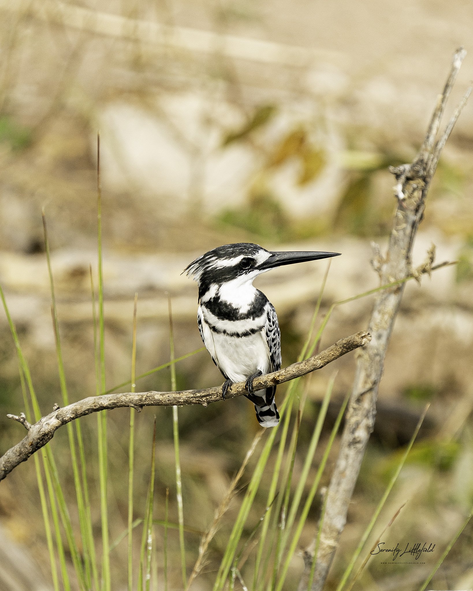 Africa_May_2022_SLL-06267-Edit copy.jpg