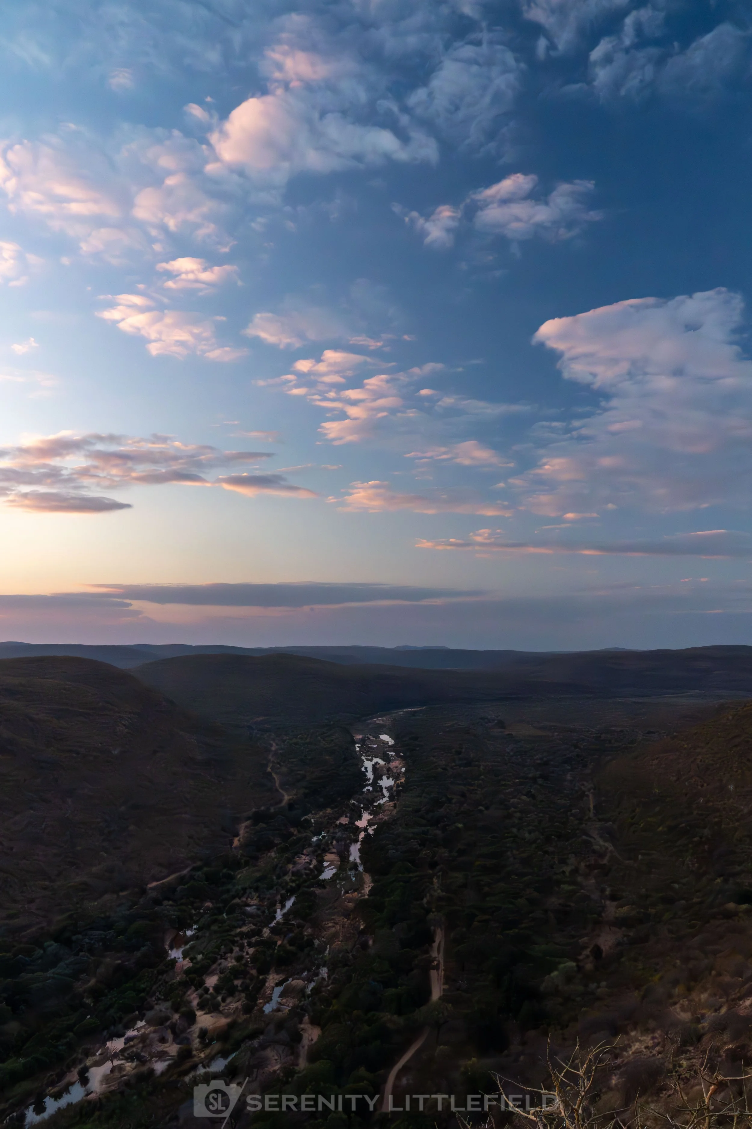Africa_2025_Nungu_SLL-01915.jpg