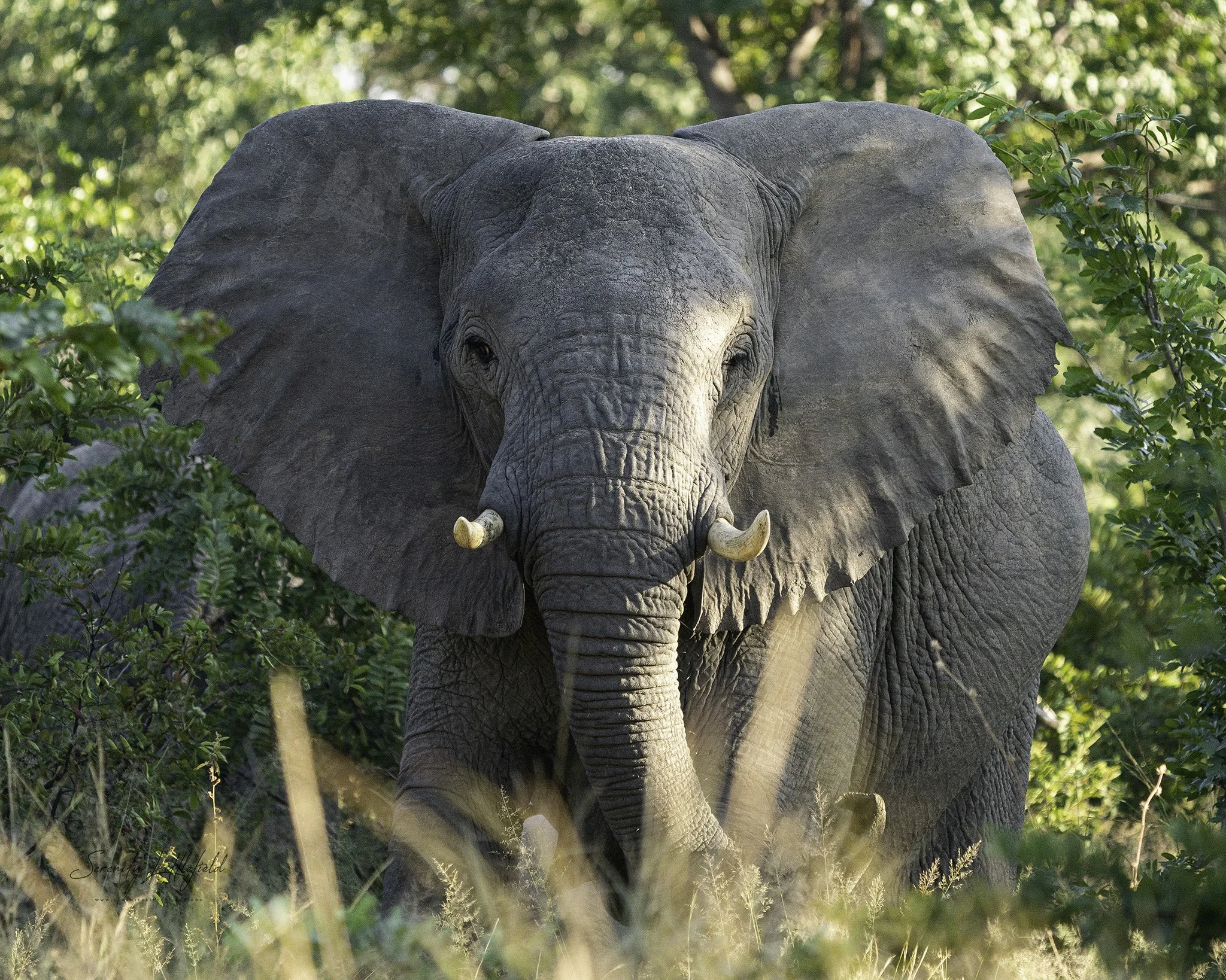 Africa_May_2022_SLL-08262-Edit.jpg