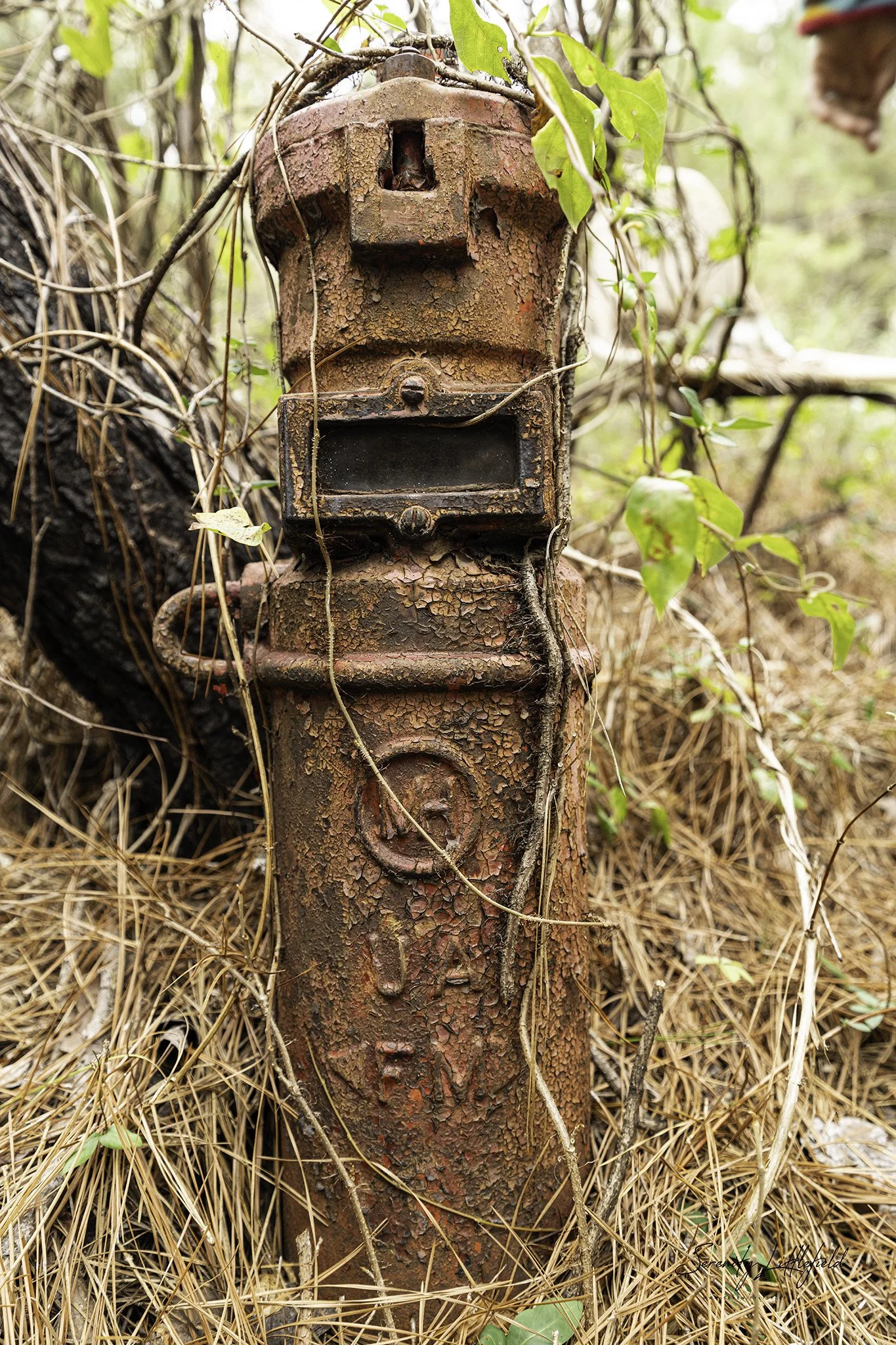 Longhorn_Army_Ammunition_Plant_SLL-06906-Edit.jpg