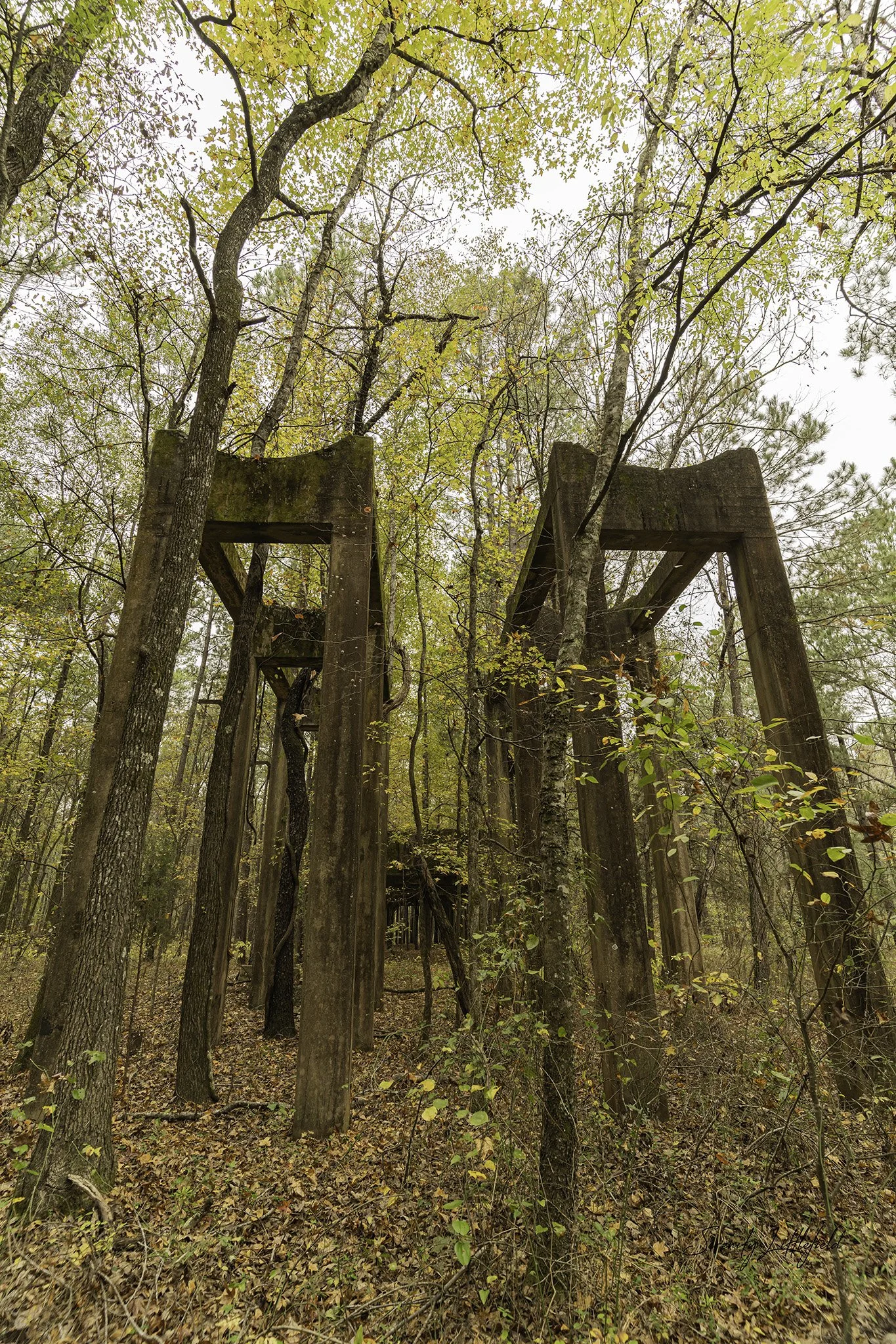 Longhorn_Army_Ammunition_Plant_SLL-06735-Edit.jpg