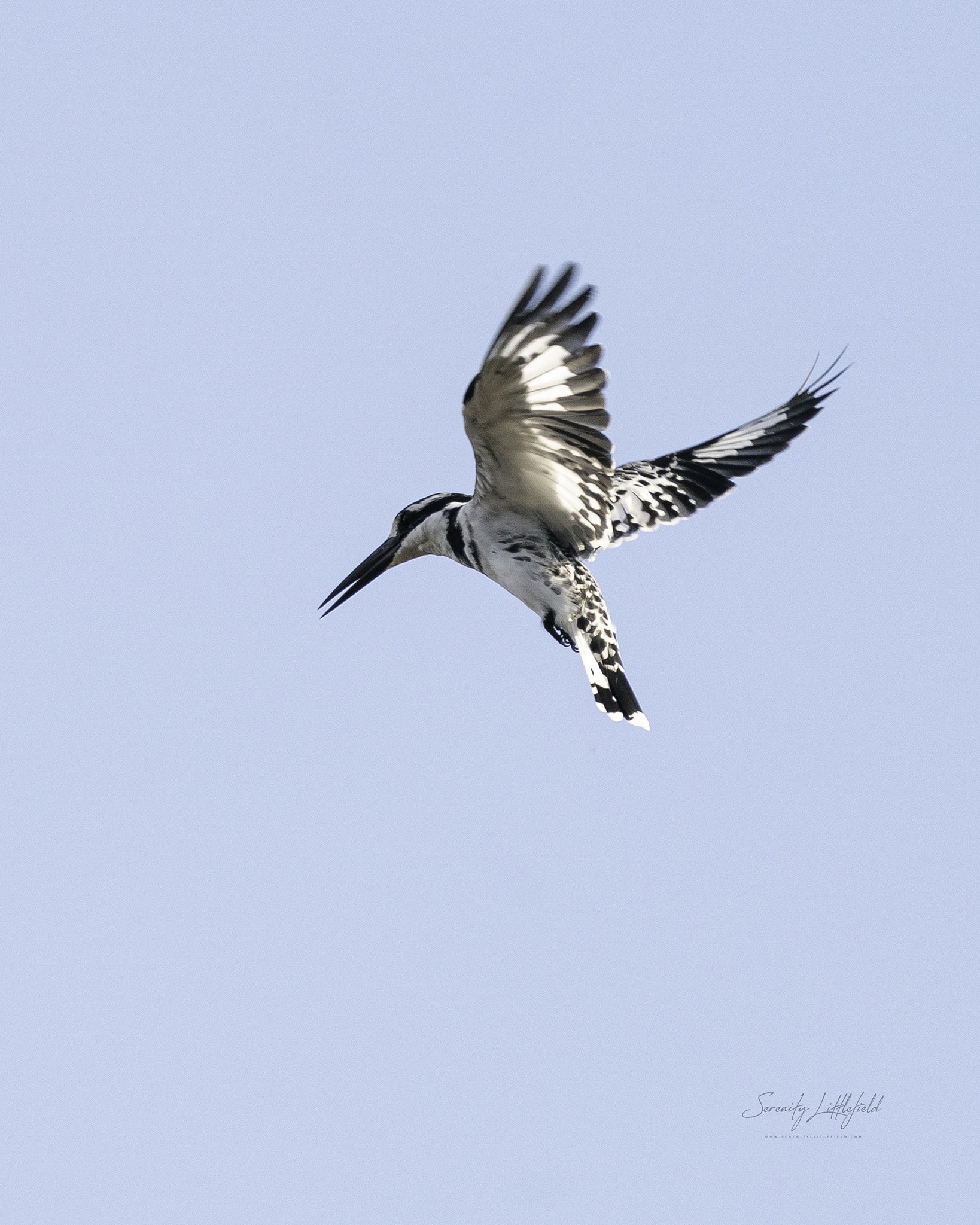 Africa_May_2022_SLL-09405-Edit.jpg