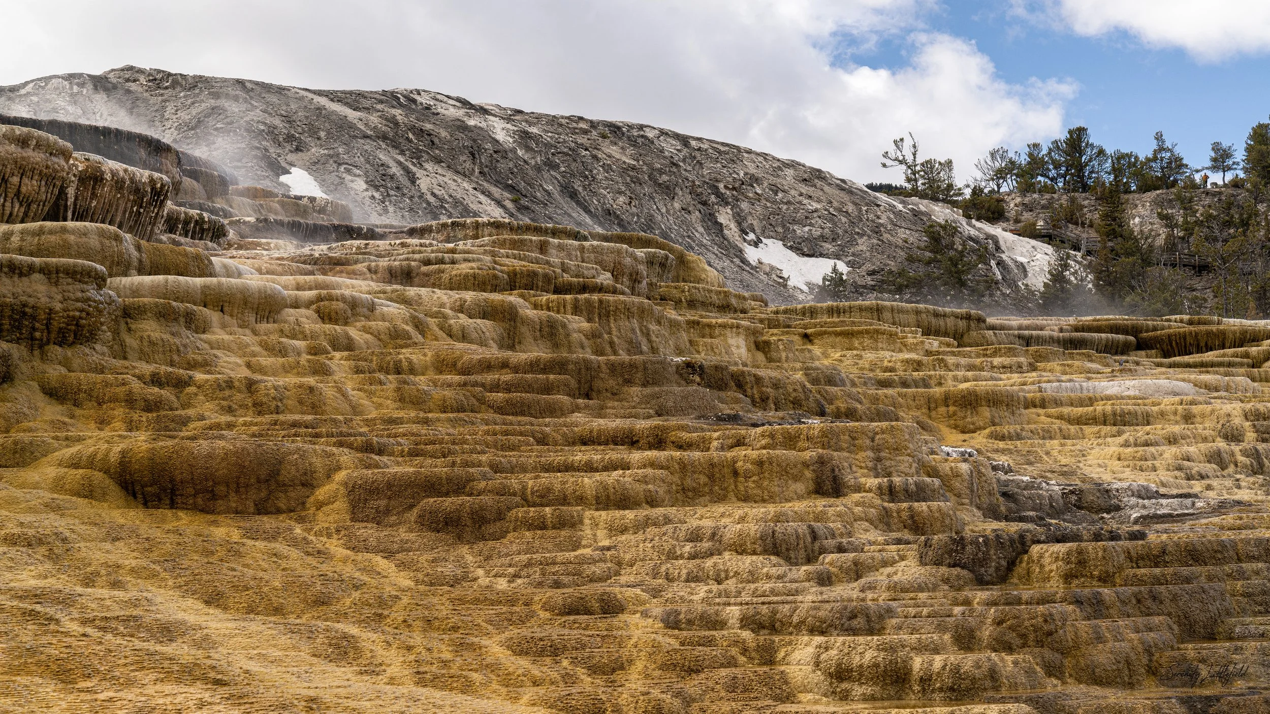 YellowstoneNP_2024_Sony_a7rIV_SLL-08024-Edit.jpg
