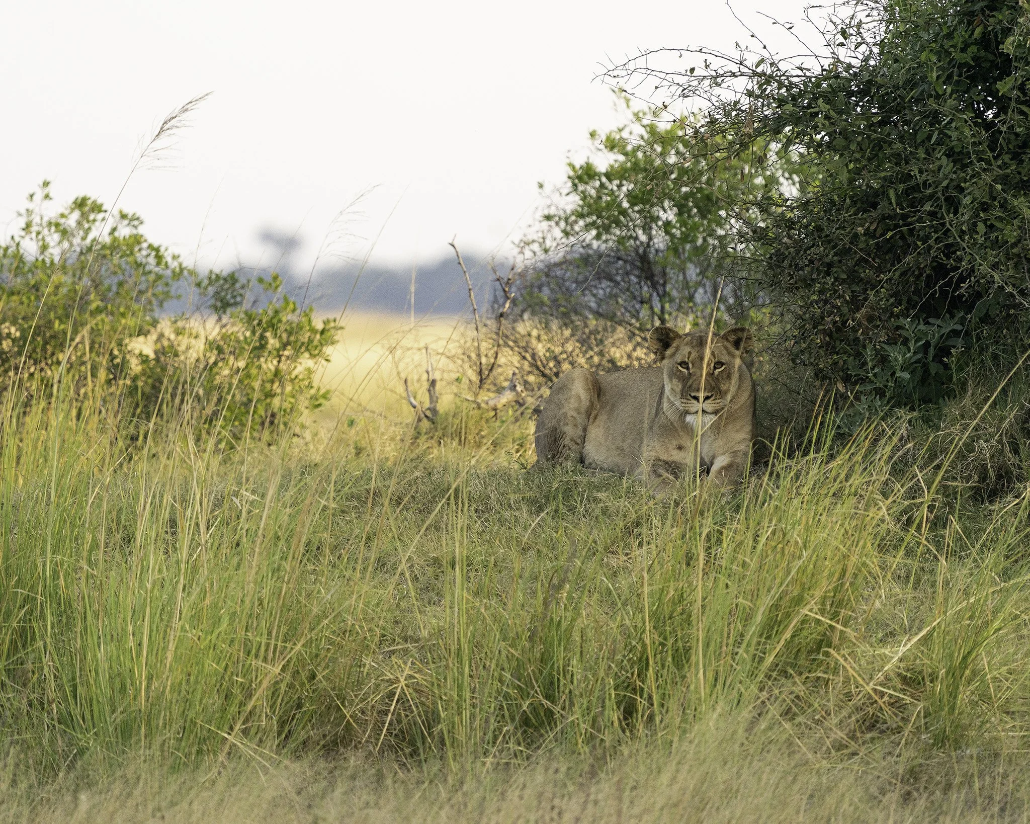 Africa_May_2022_SLL-08130-Edit.jpg