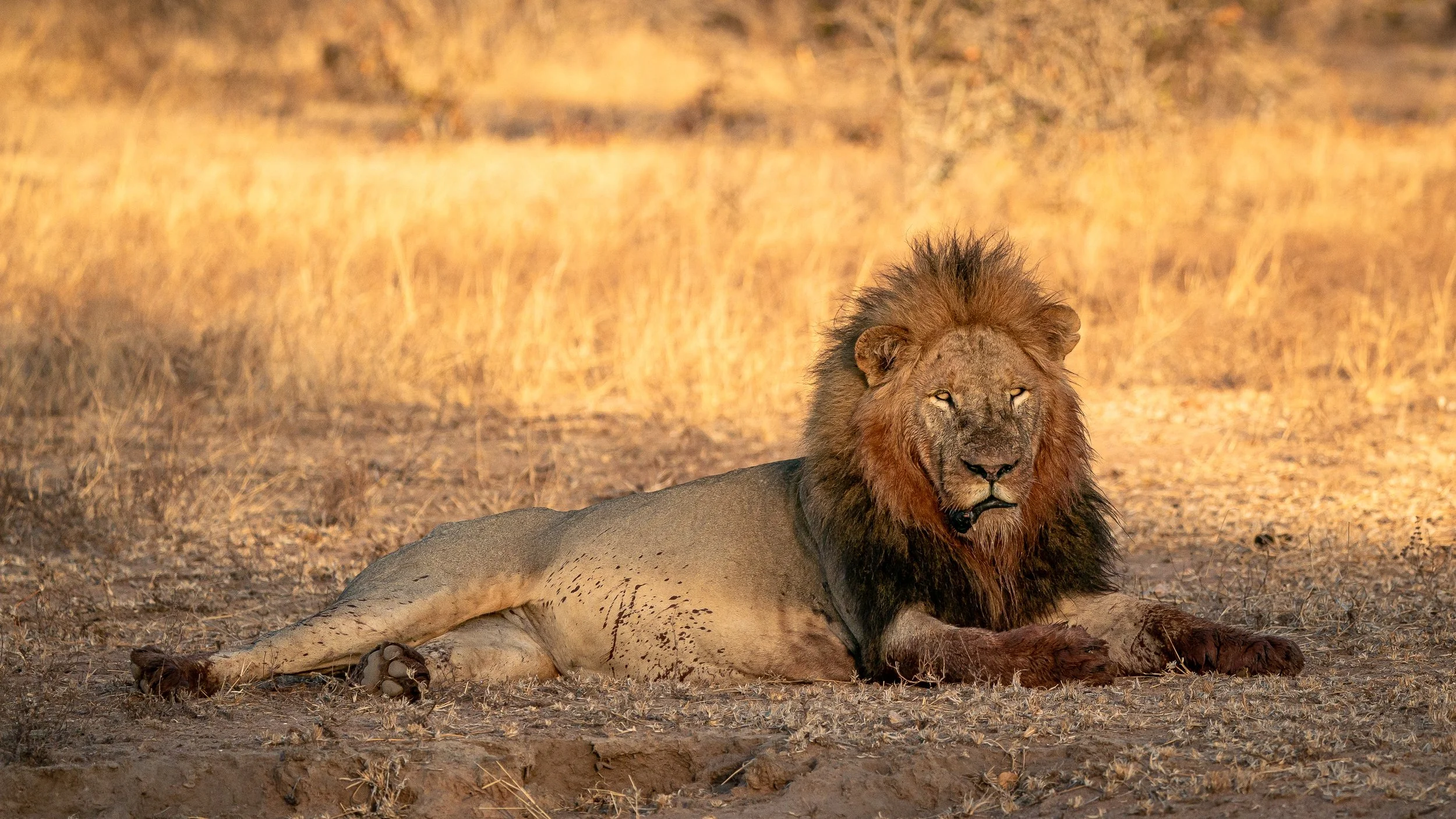 Africa2019_SLL-08219.jpg