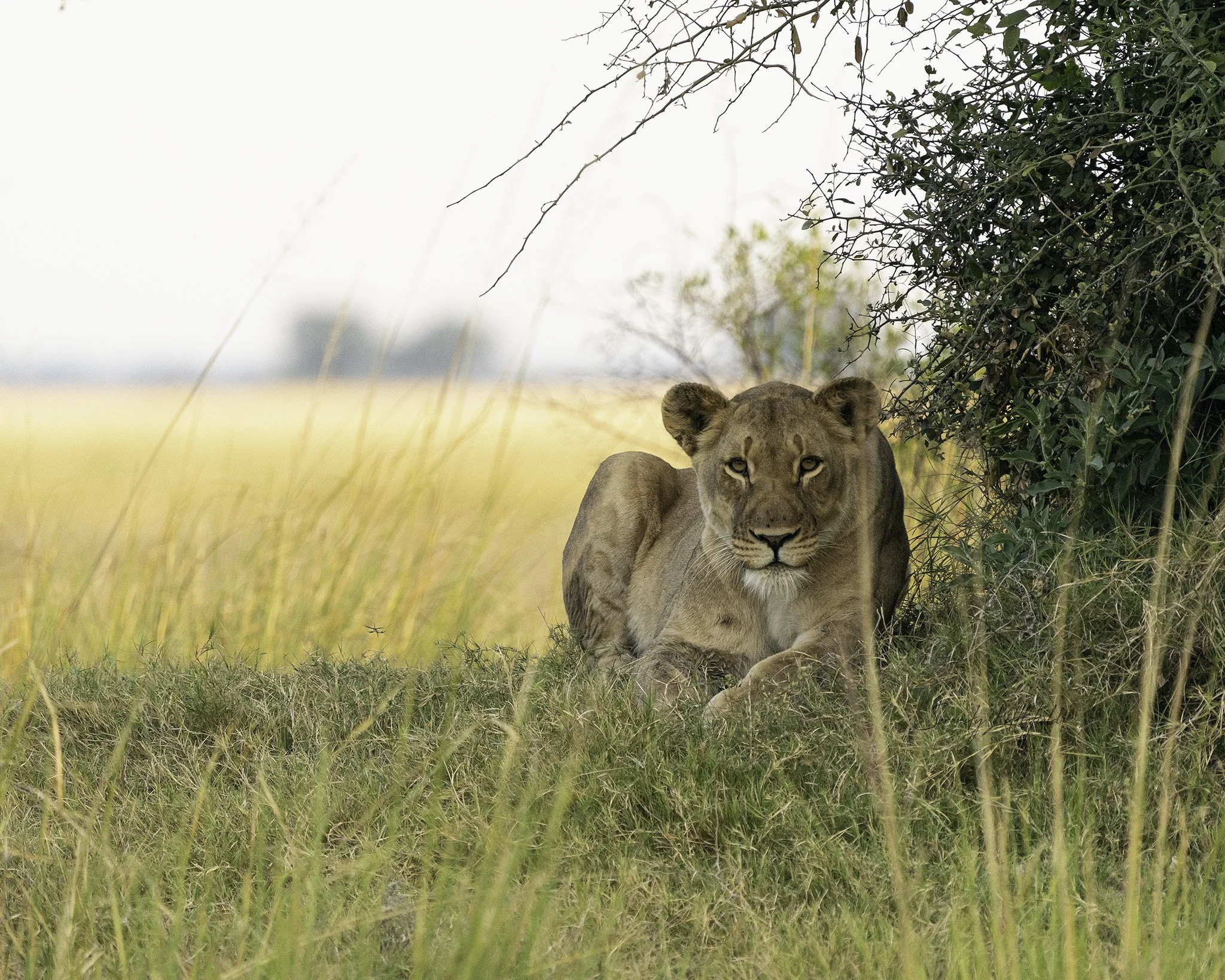 Africa_May_2022_SLL-08152-Edit.jpg