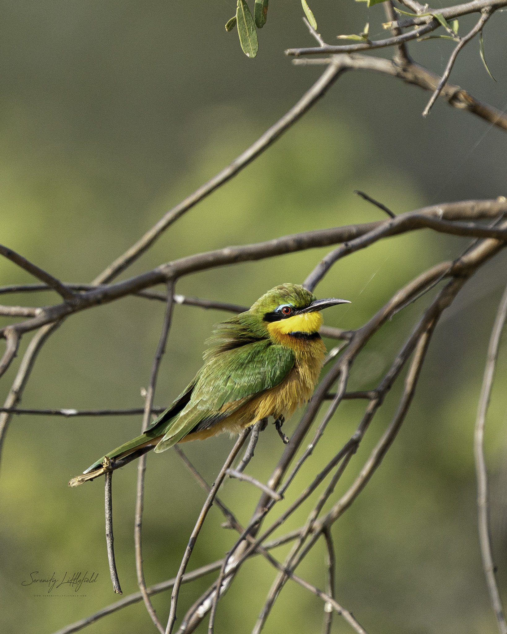 Africa_May_2022_SLL-09212-Edit.jpg