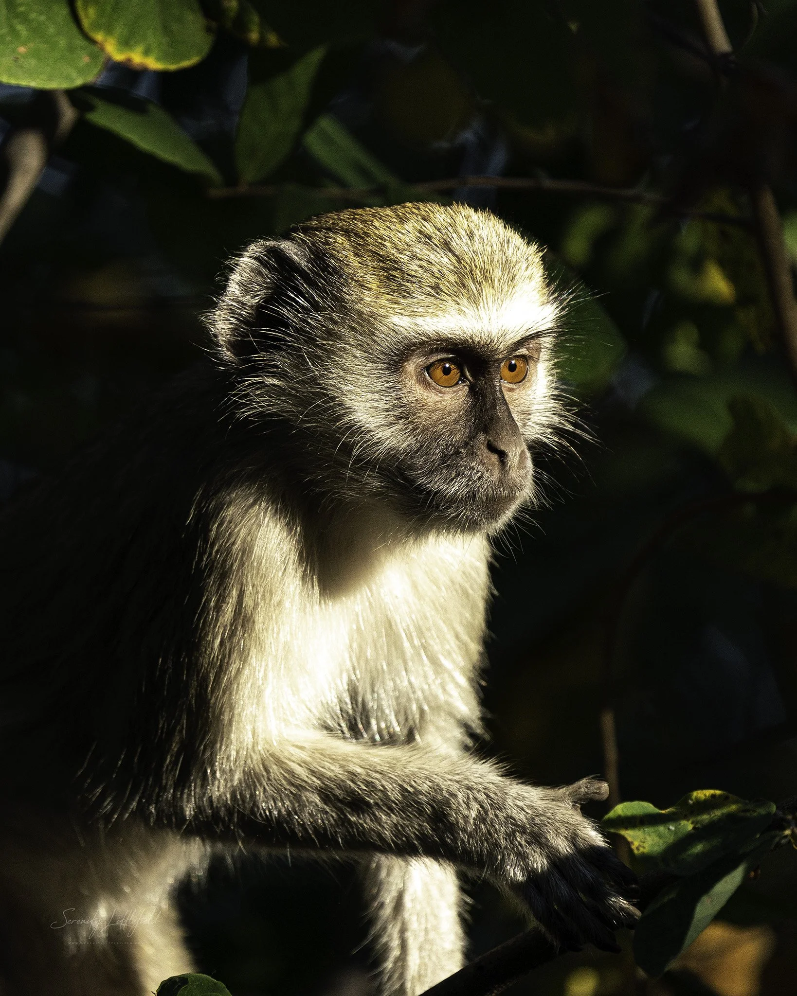 Africa_May_2022_SLL-00124-Edit.jpg