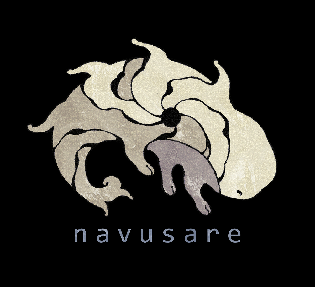 NAVUSARE