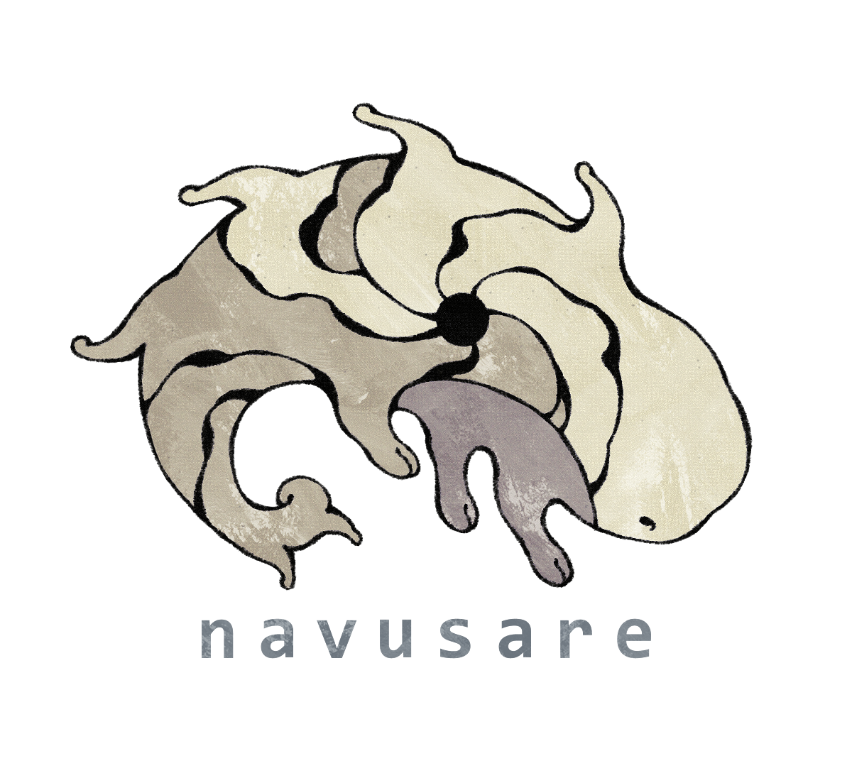 NAVUSARE