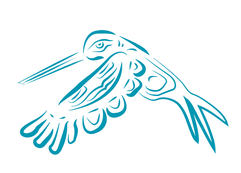 Indigenous Hummingbird Icon