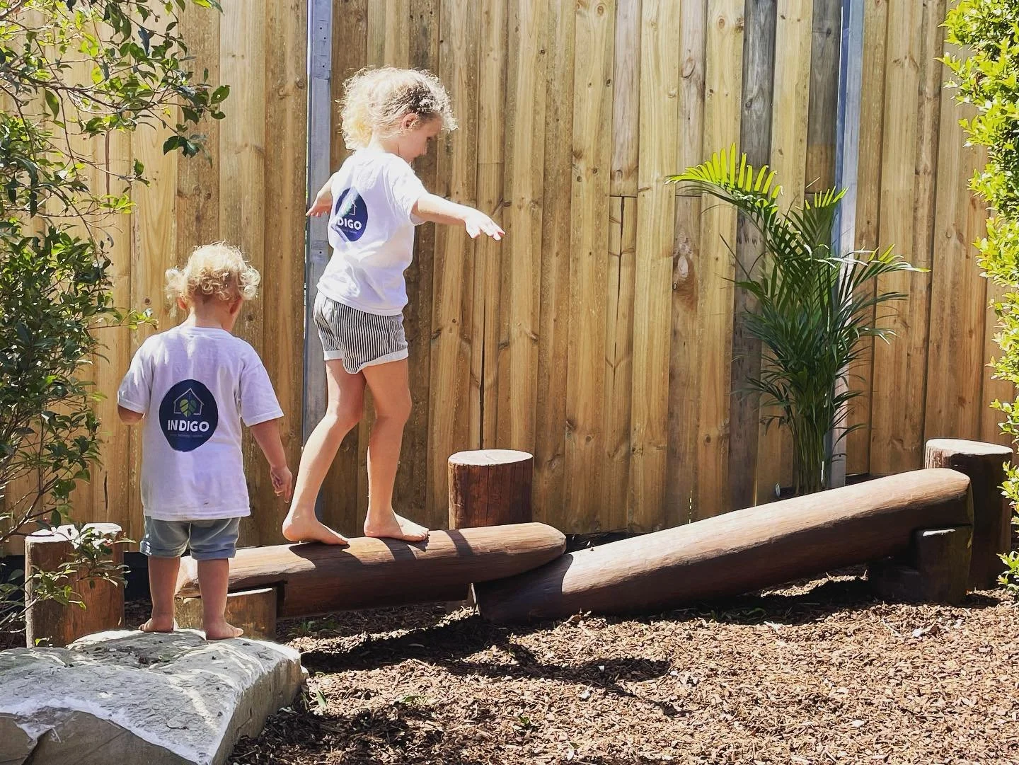 climbing logs (1).jpg