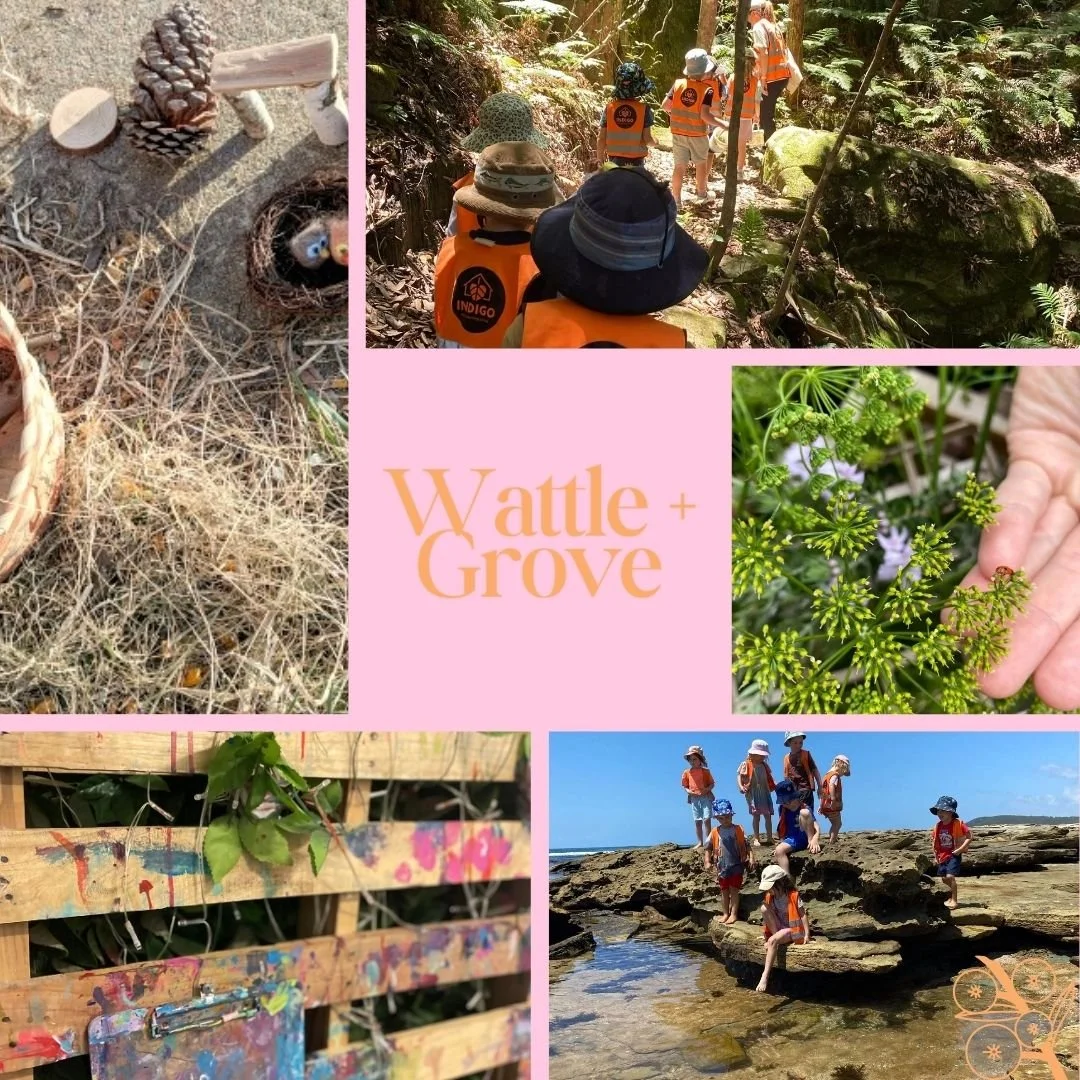 Wattle + Grove Education