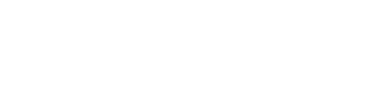 Little Lobo Design Studio