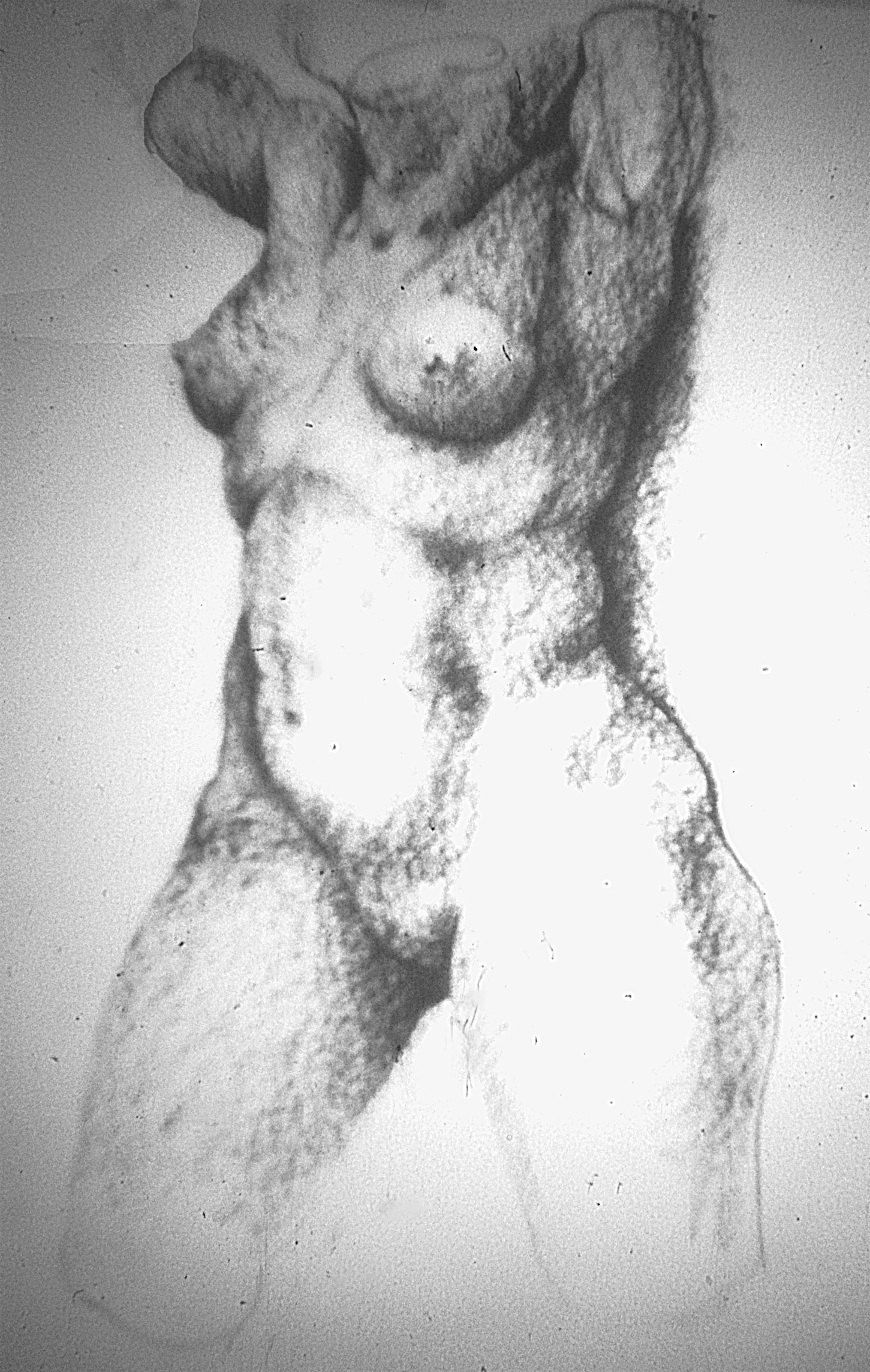 Model 1, c 1970