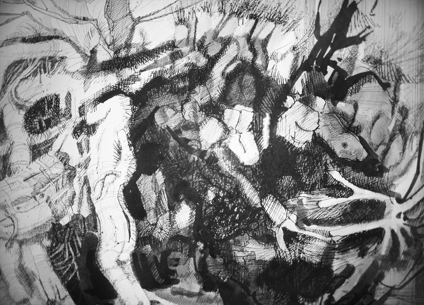 Undergrowth, 18.5 x 24", Pen and Ink, 1965