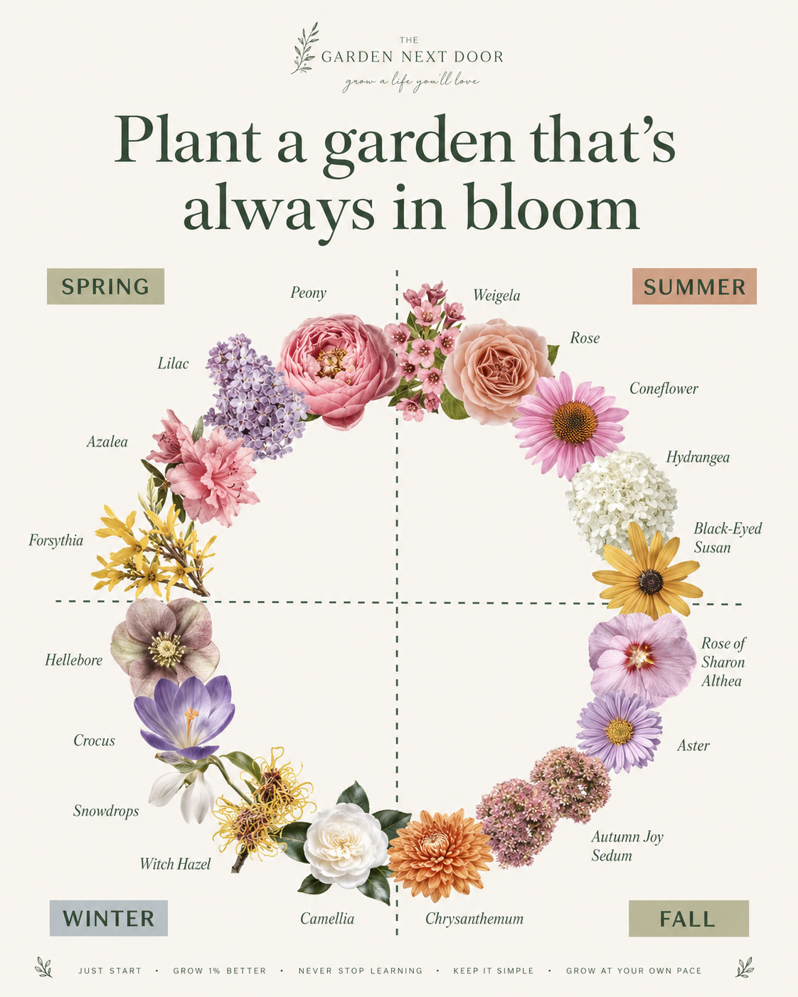 Plant a Garden That's Always in Bloom: A Year-Round Guide to Continuous Color