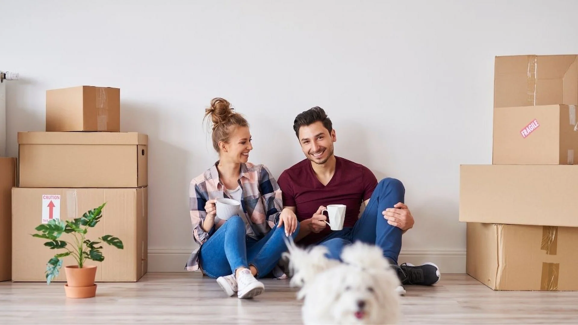 A young couple sitting on the floor of a new apartment, surrounded by stacked moving boxes, enjoying a drink and smiling, with a white dog in the foreground.
