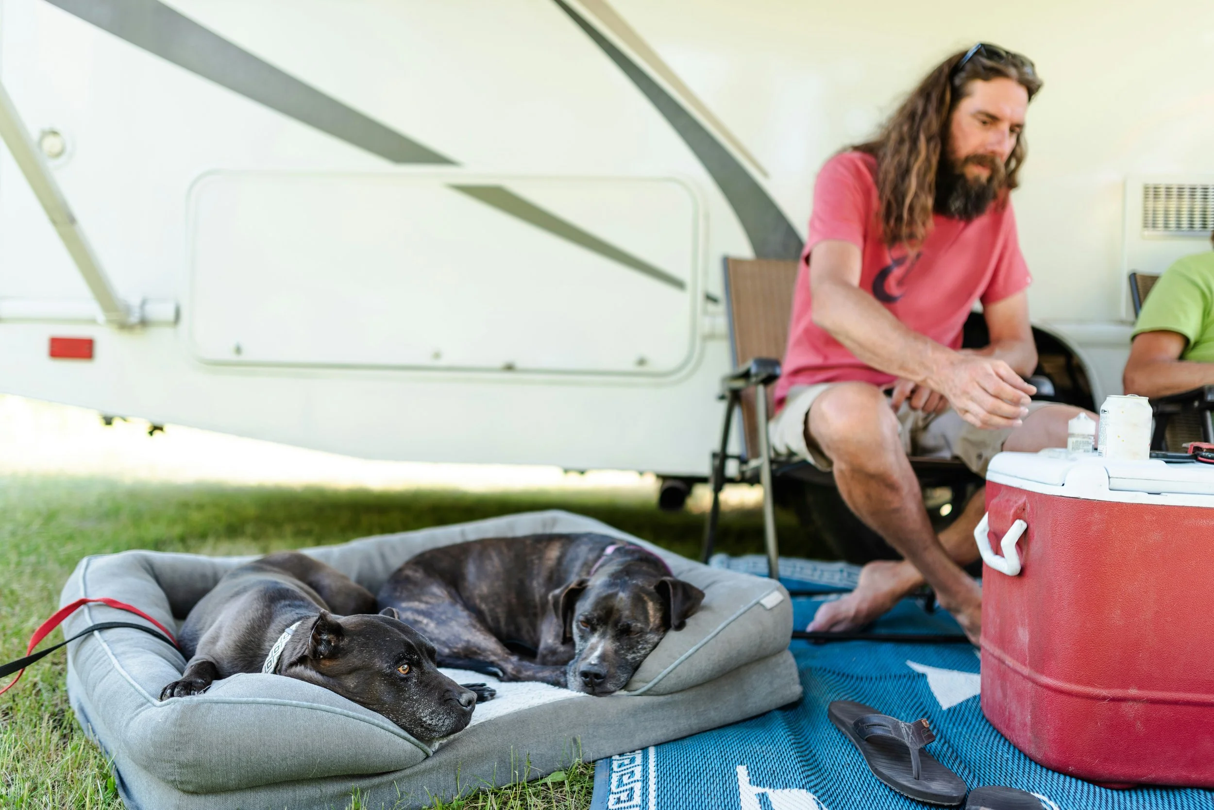 Two dogs resting on a dog bed beside a camping trailer and a man seated in a camping chair