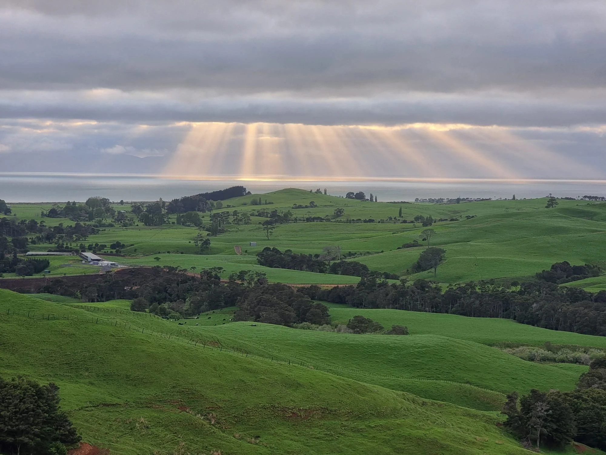 Rolling green hills with scattered trees and farm buildings, under a cloudy sky with sun rays breaking through.