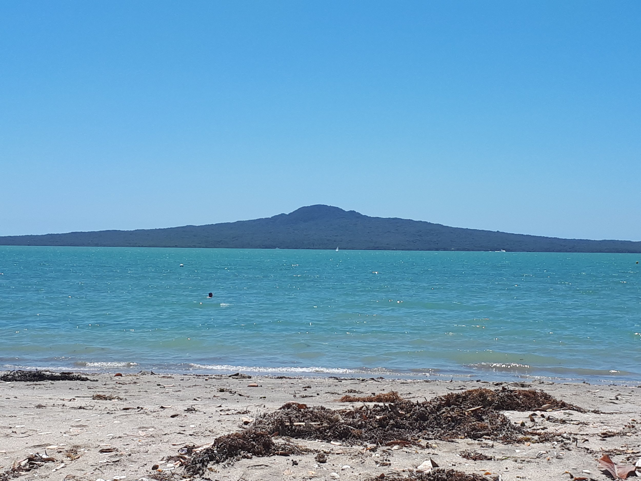 Calm beach with light brown sand, seaweed debris, turquoise water, and a distant island or landmass under a clear blue sky.