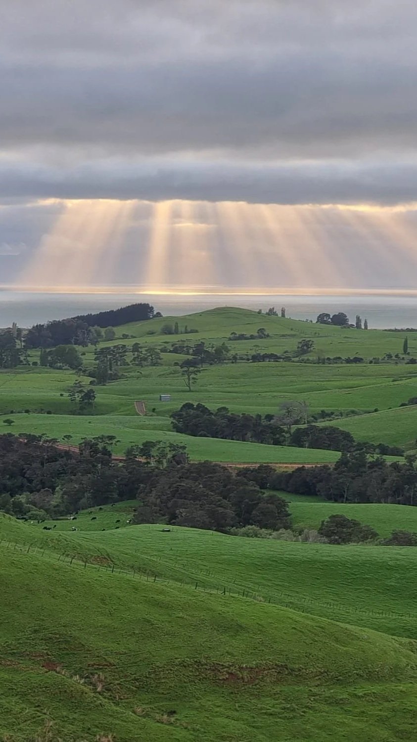 A scenic landscape of rolling green hills with scattered trees, leading towards a distant body of water under a cloudy sky. Sunbeams break through the clouds, illuminating parts of the land.