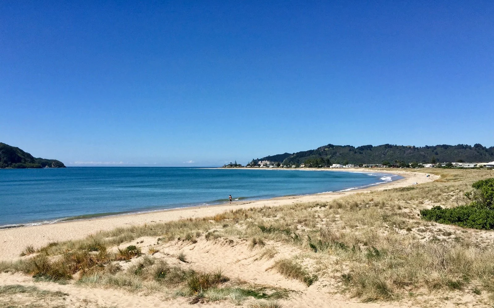 A sandy beach with grassy dunes, a person walking near the shoreline, calm blue water, and trees and buildings on distant hills under a clear blue sky.
