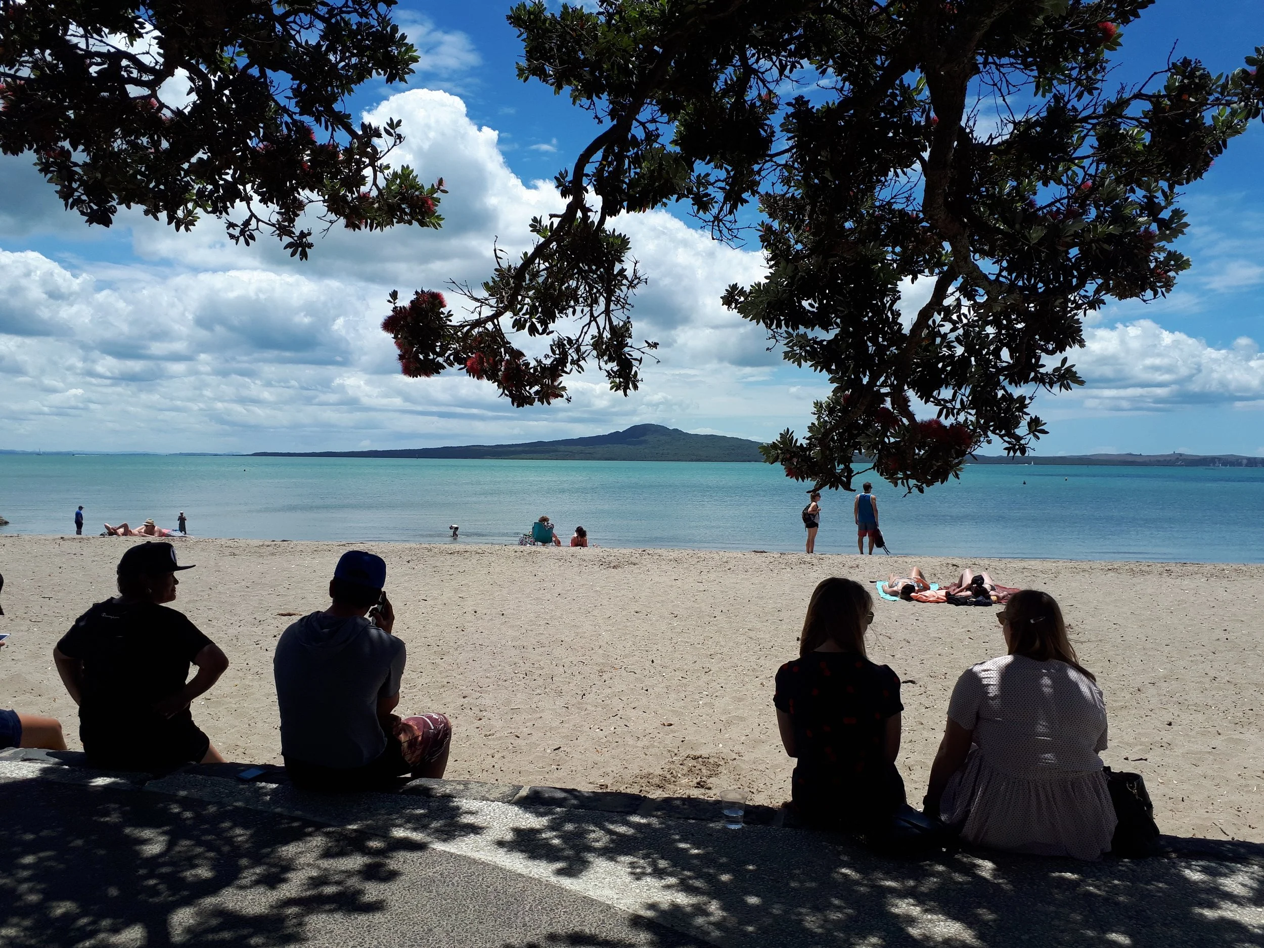 A group of people sitting on a shaded area near a beach with trees overhead, looking at the Waitemata harbour and Rangitoto across the water.