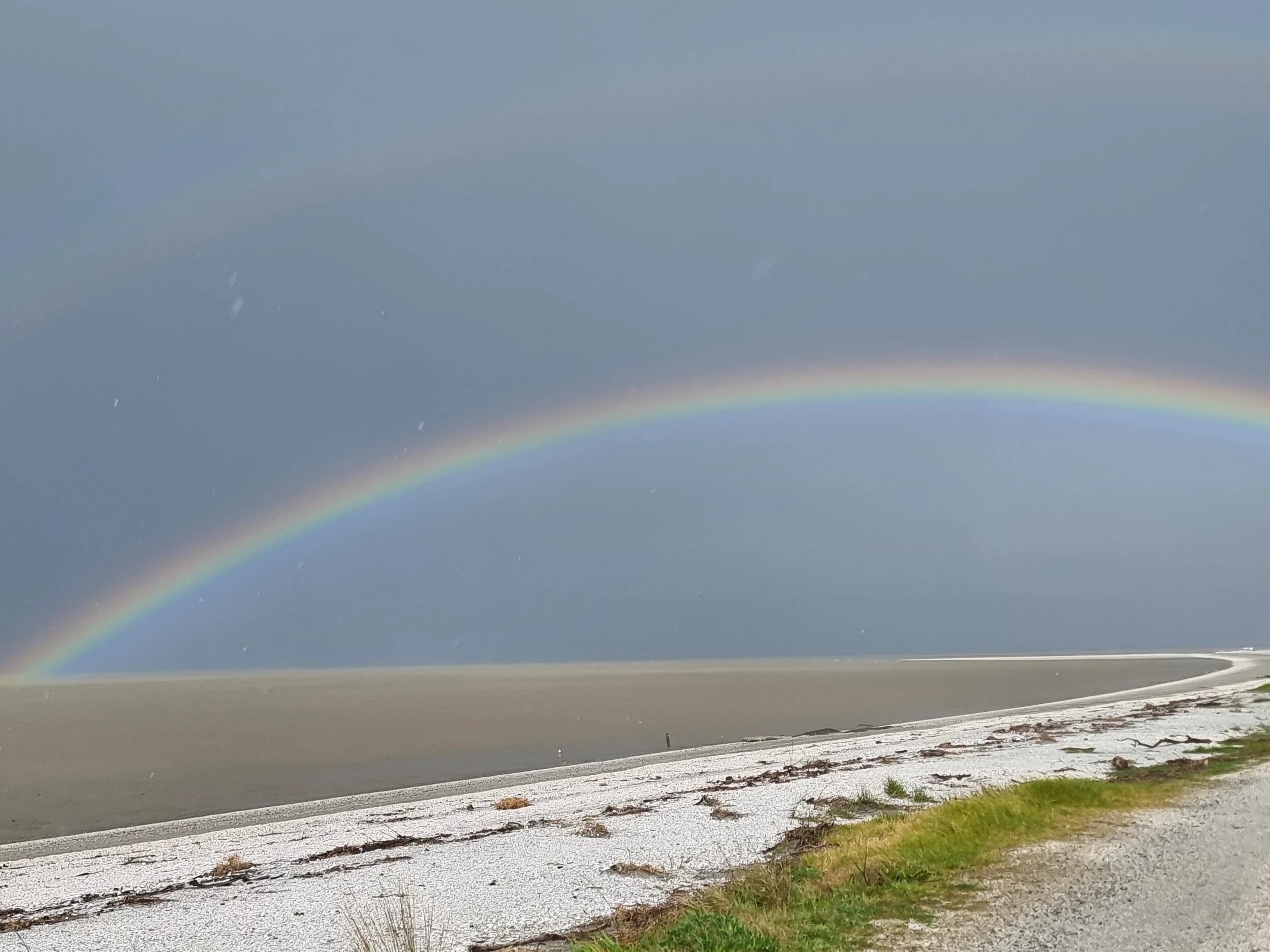 A rainbow stretching across a cloudy sky over a beach with sand, seaweed, and small waves on the Seabird Coast, Firth of Thames