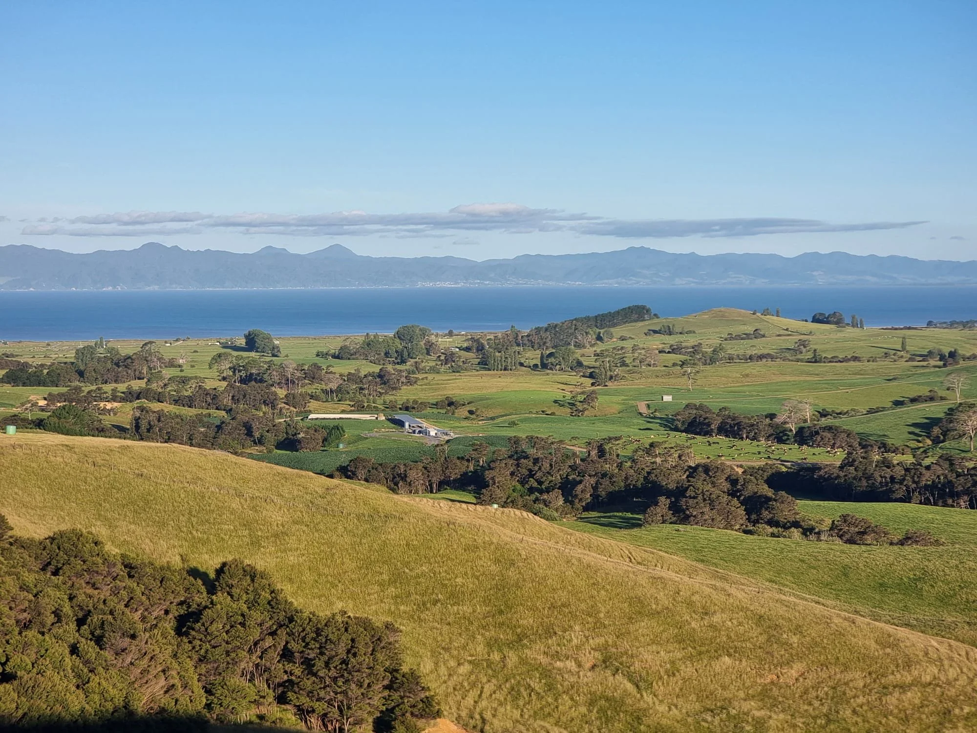 Farm view of the Firth of Thames looking towards the Coromandel Peninsula with and old Maori Pa site in the foreground