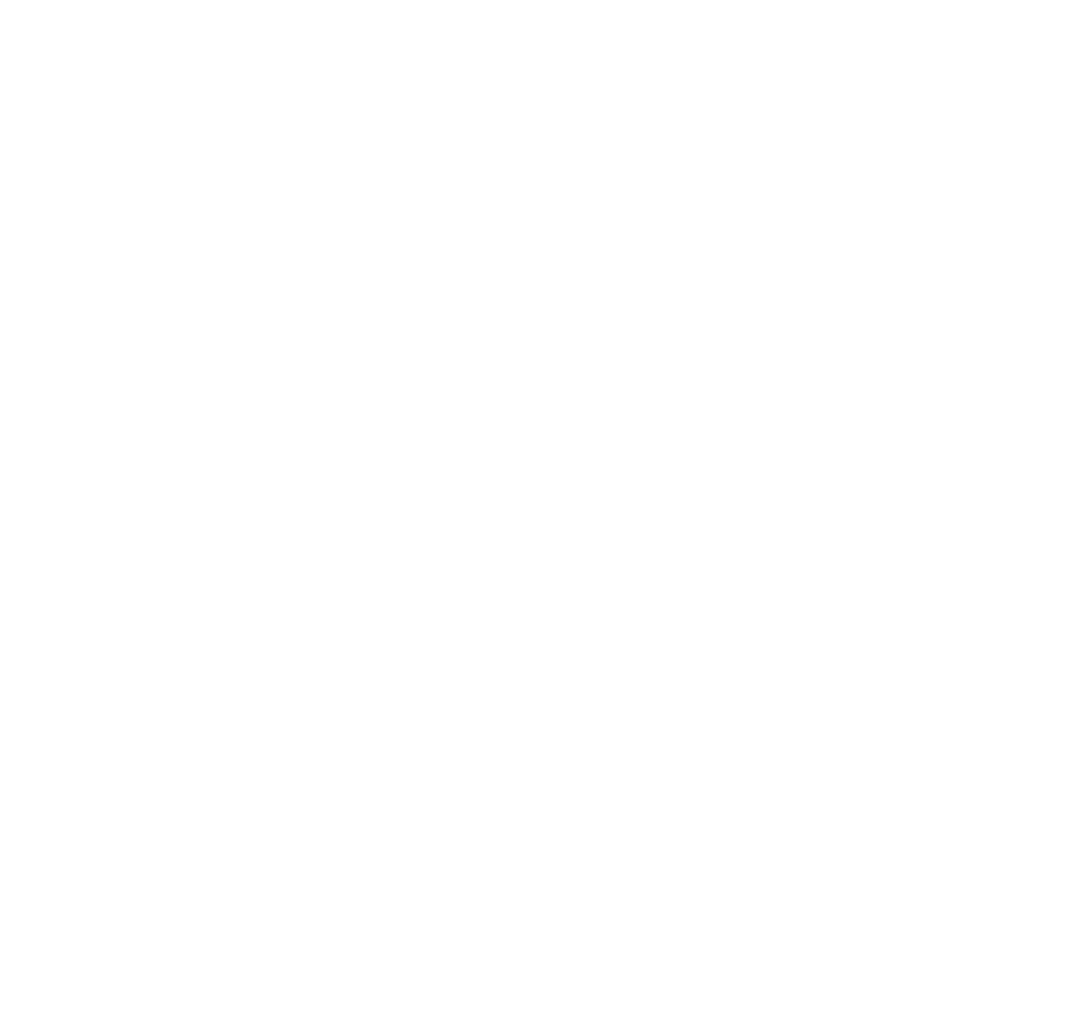 Whale Shark Electrical 
