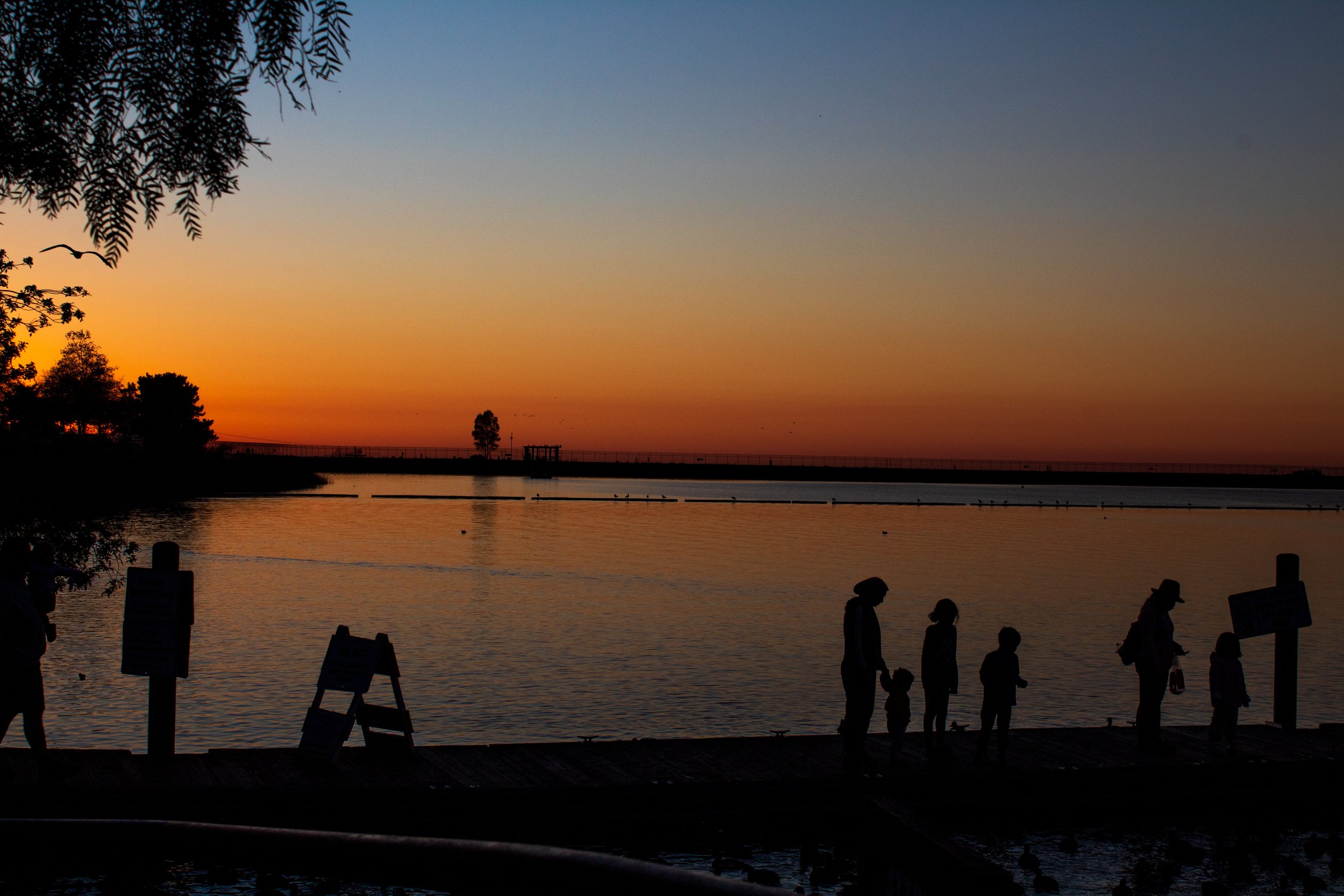 IMG_0112-1.jpg