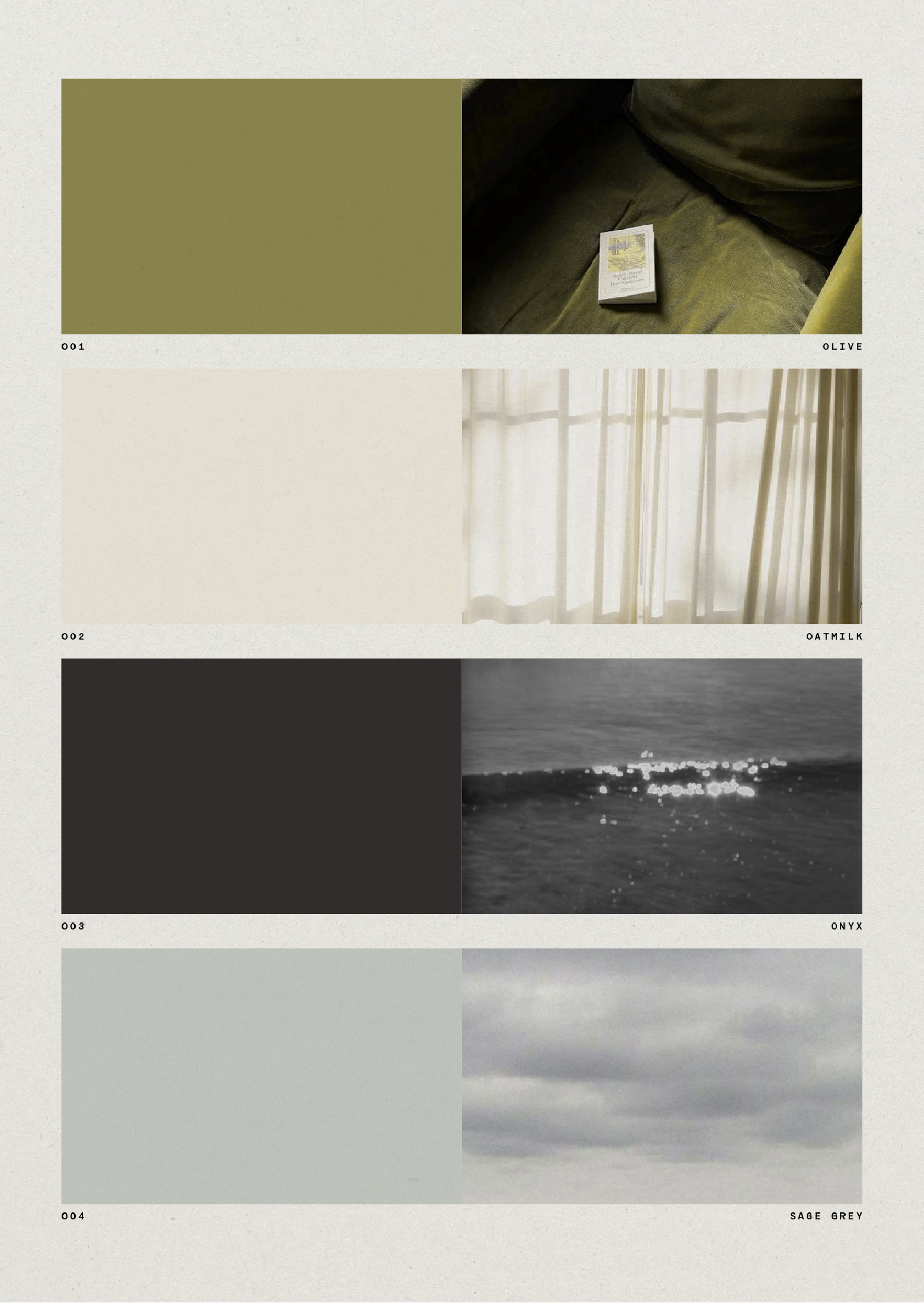 BRAND COLOR STORY