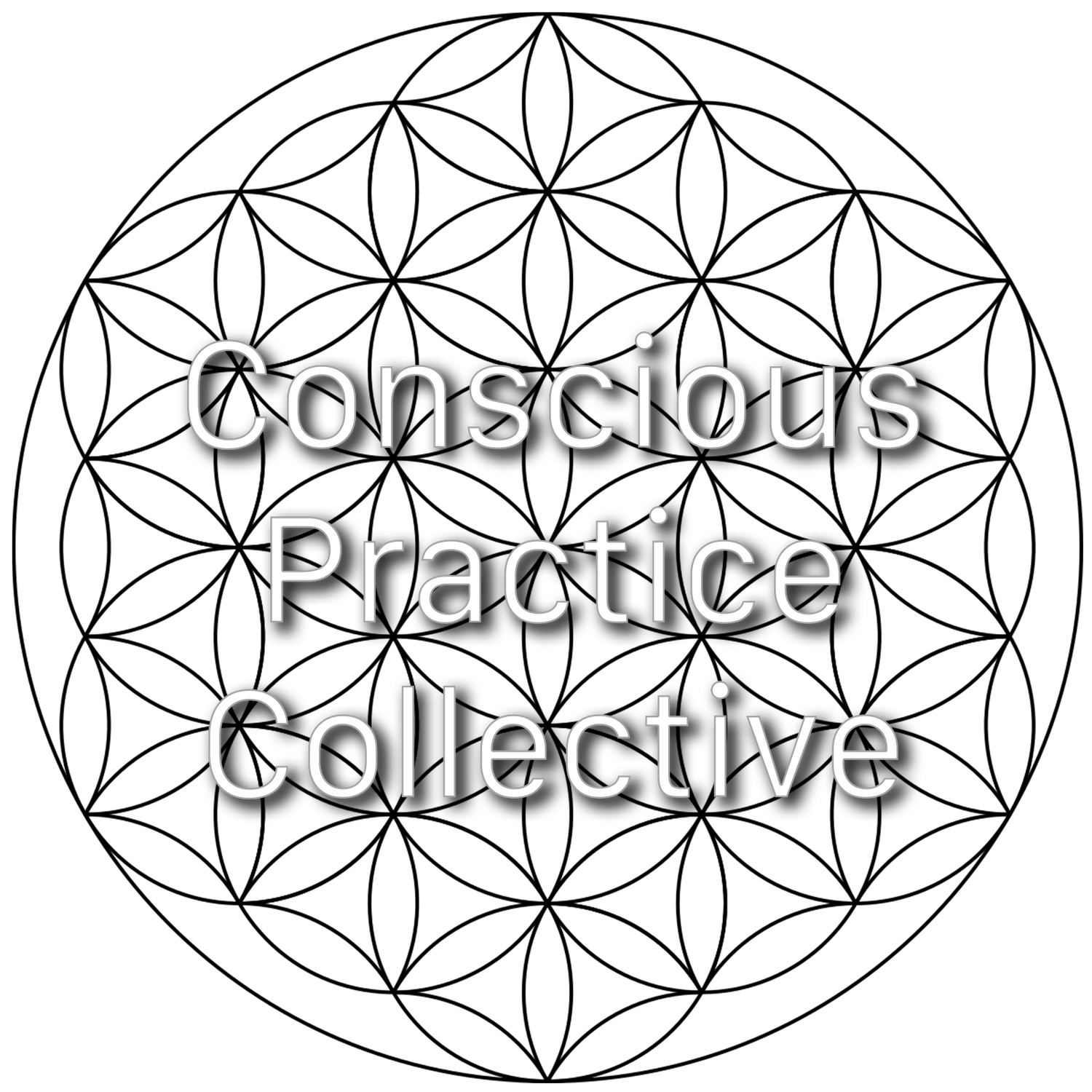 Conscious Practice Collective