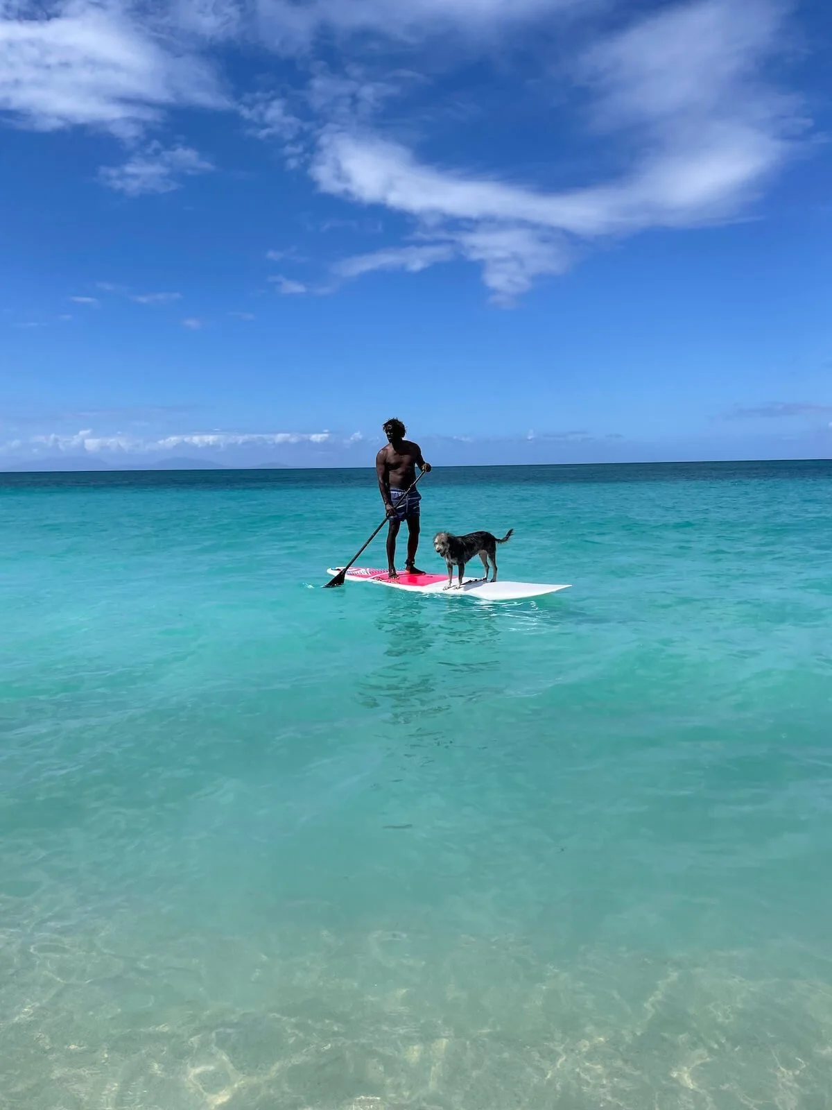 Trevor and Scratch the beach dog paddle boarding at Crabbe Hill Beach, one of the activities you can enjoy on The Sea Change Retreat.