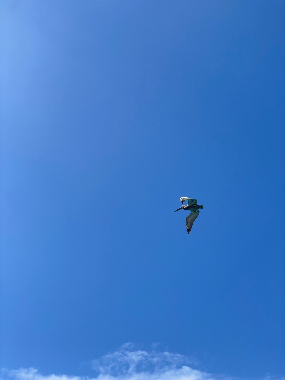 1:1 Series (4 sessions)