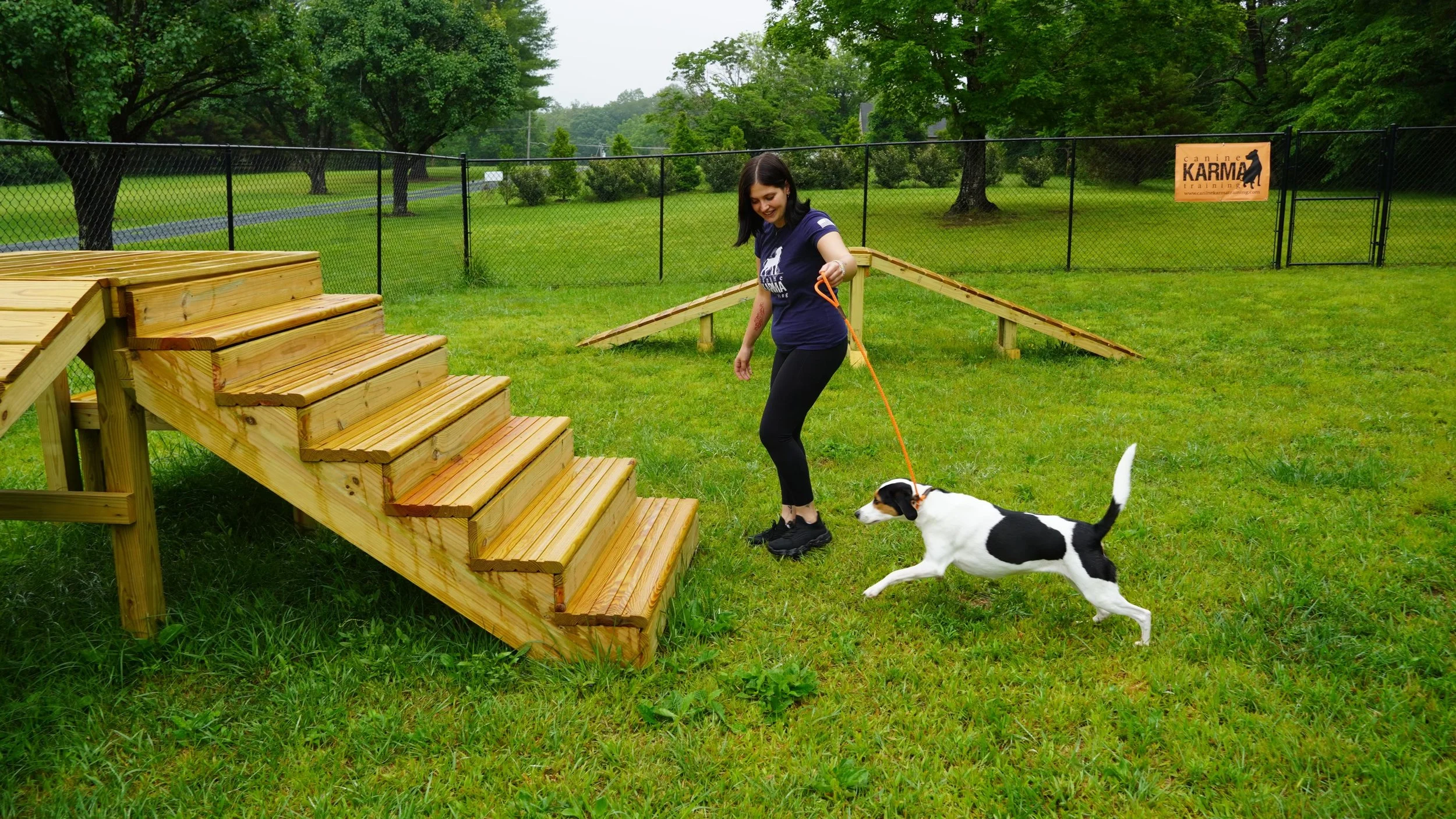 Building a Better Relationship Through Dog Training