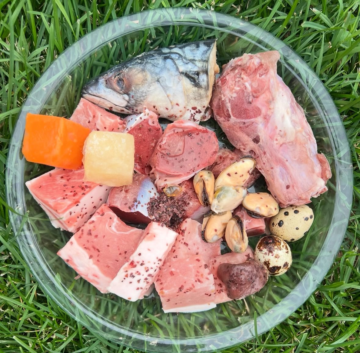 Canine Nutrition: The Benefits of a Biologically Appropriate Diet