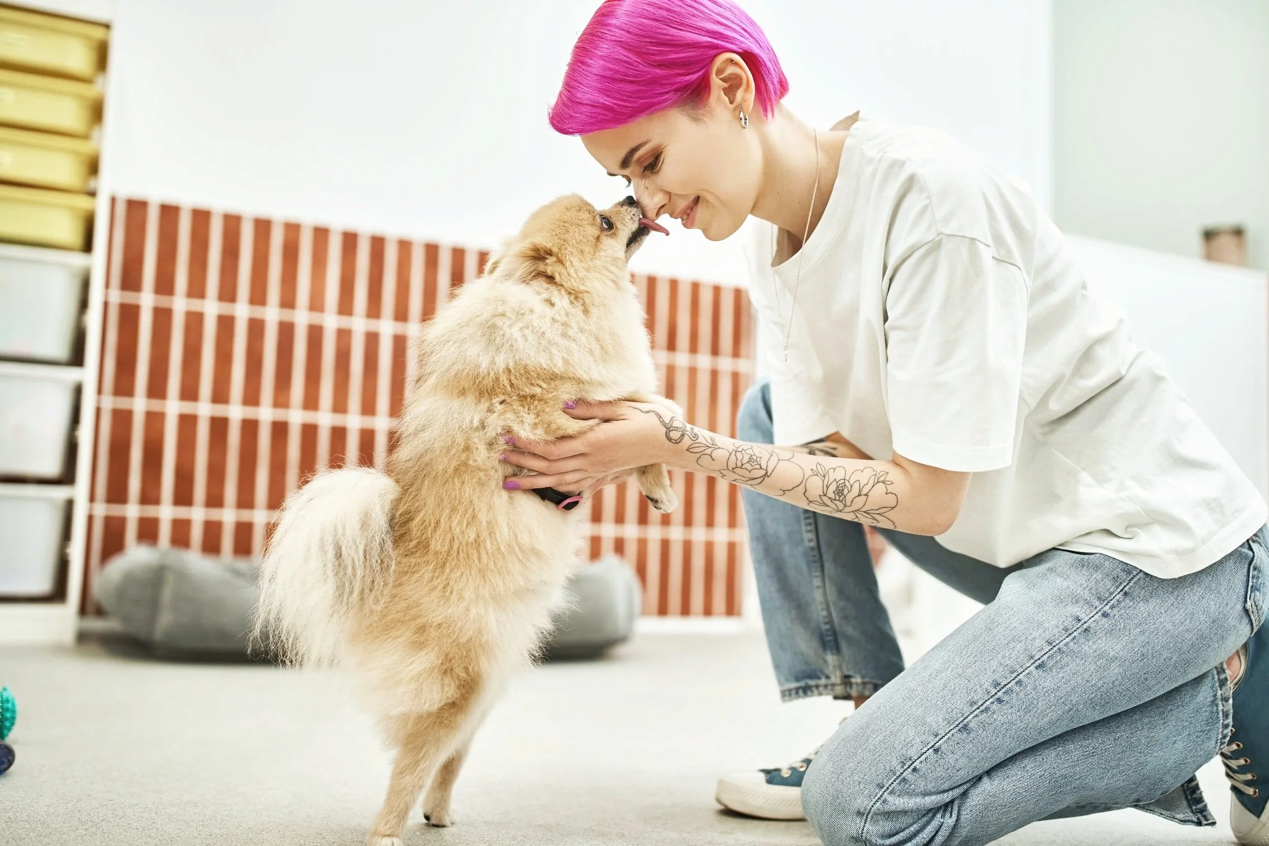 A woman with bright pink hair holding a small fluffy dog, both touching noses affectionately in an indoor setting.