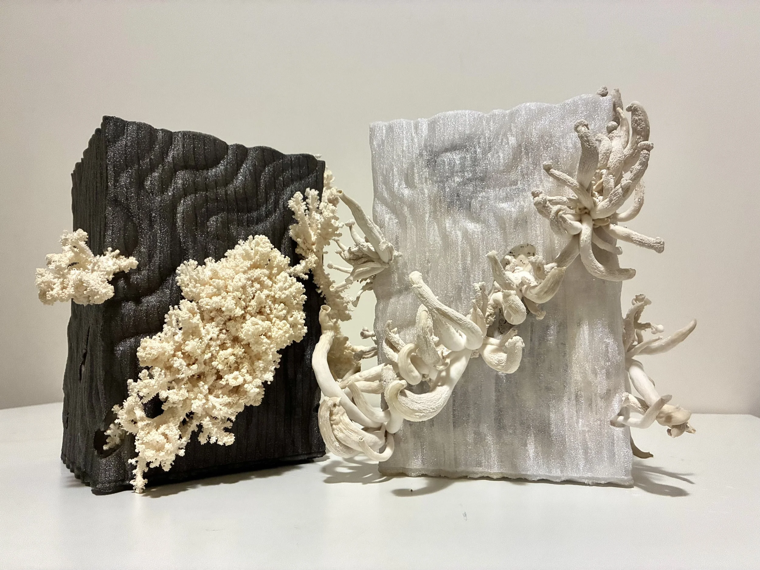 Living Mycelium Sculpture (2026)