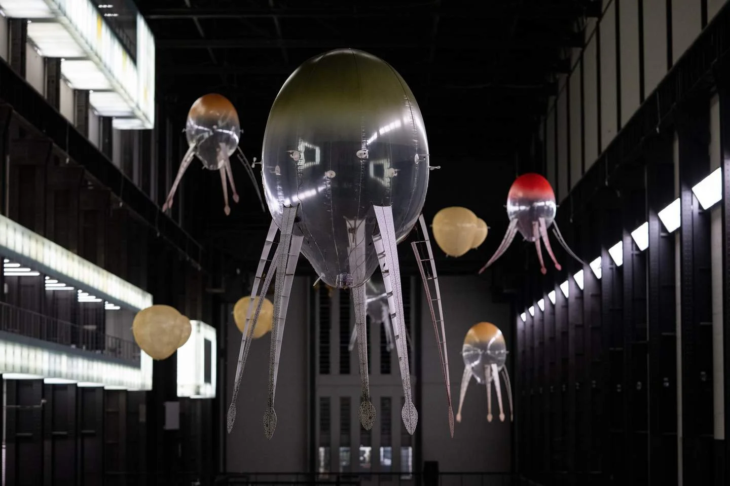 Living Interfaces: Anicka Yi
