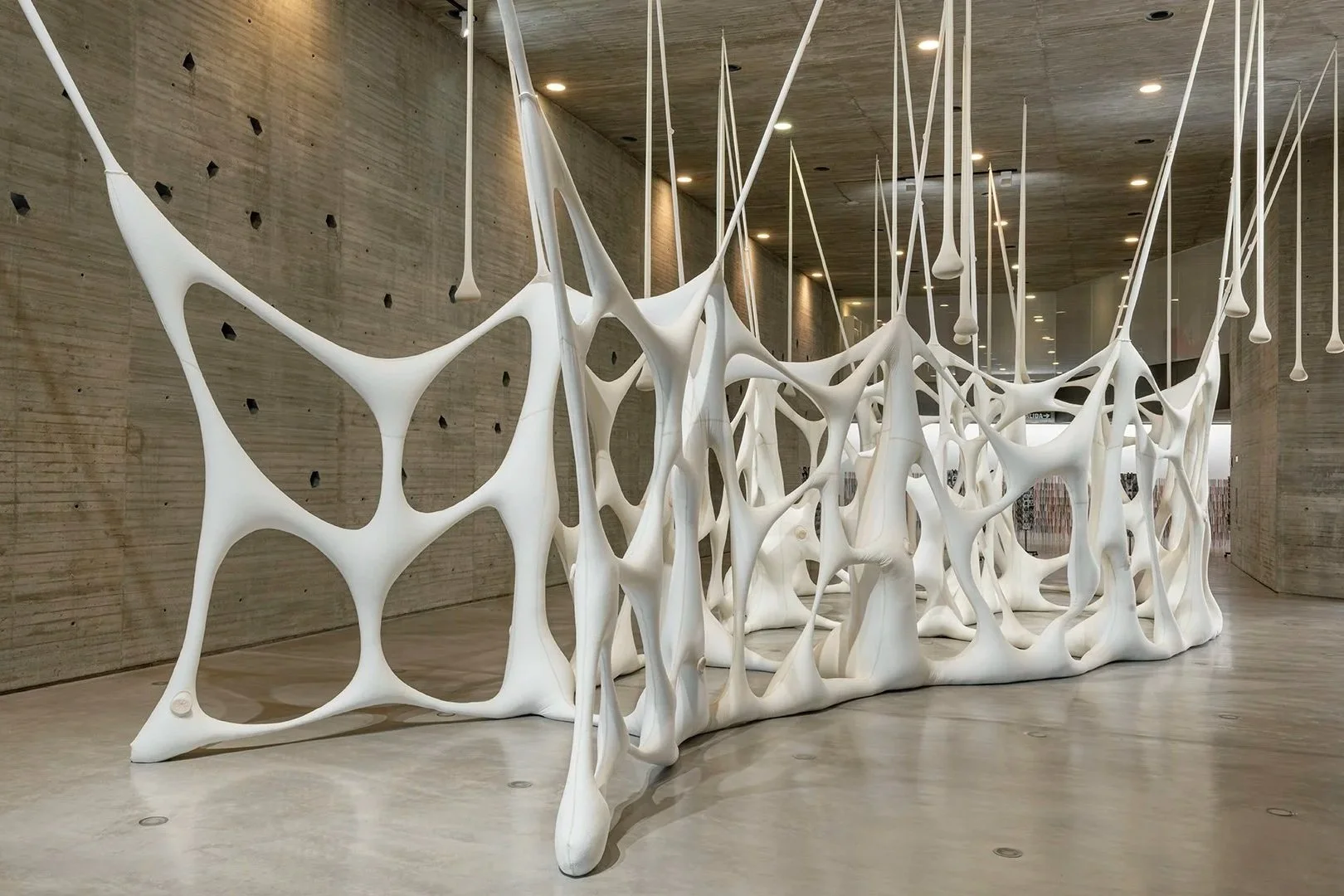 Suspended System: Ernesto Neto