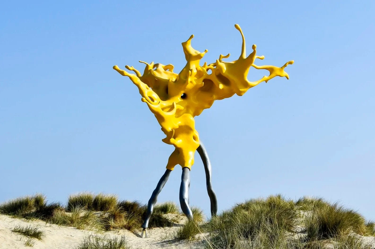 Synthetic Organism: Nick Ervinck