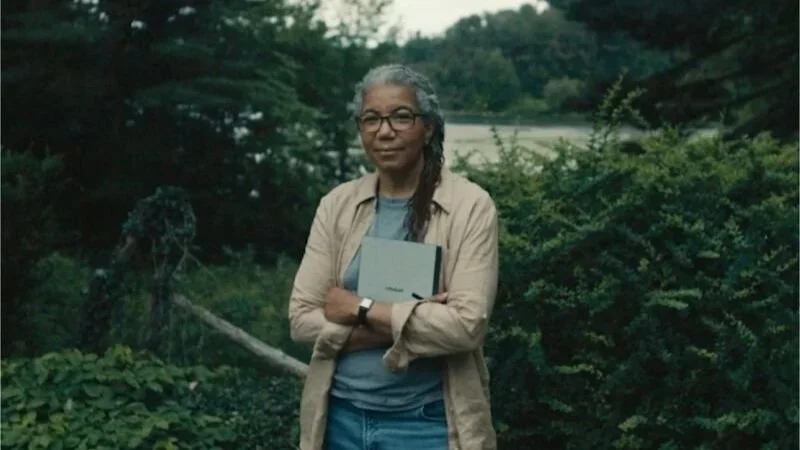 Remarkable stefani.webp