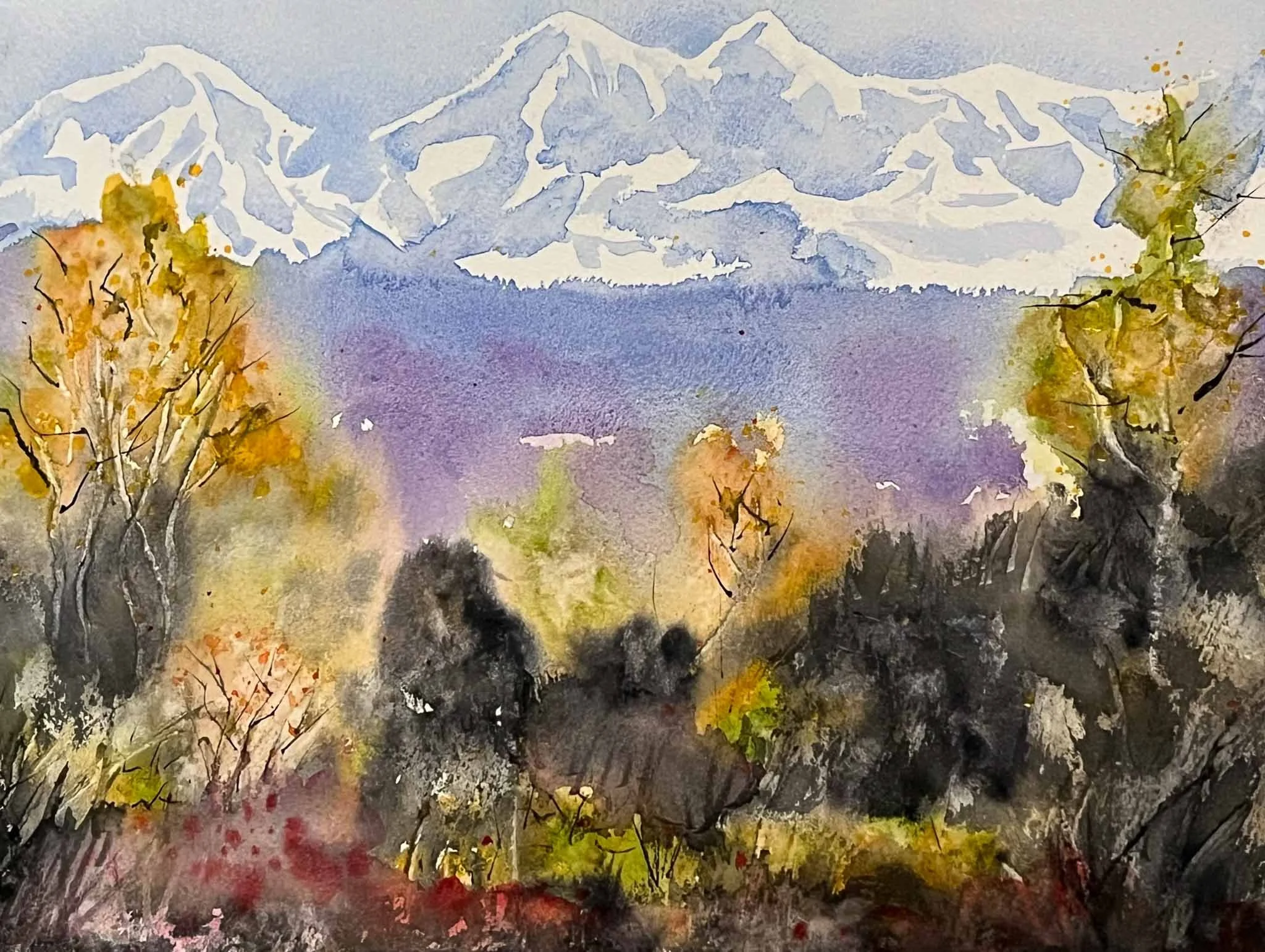 HAHiland- Denali-1.jpg