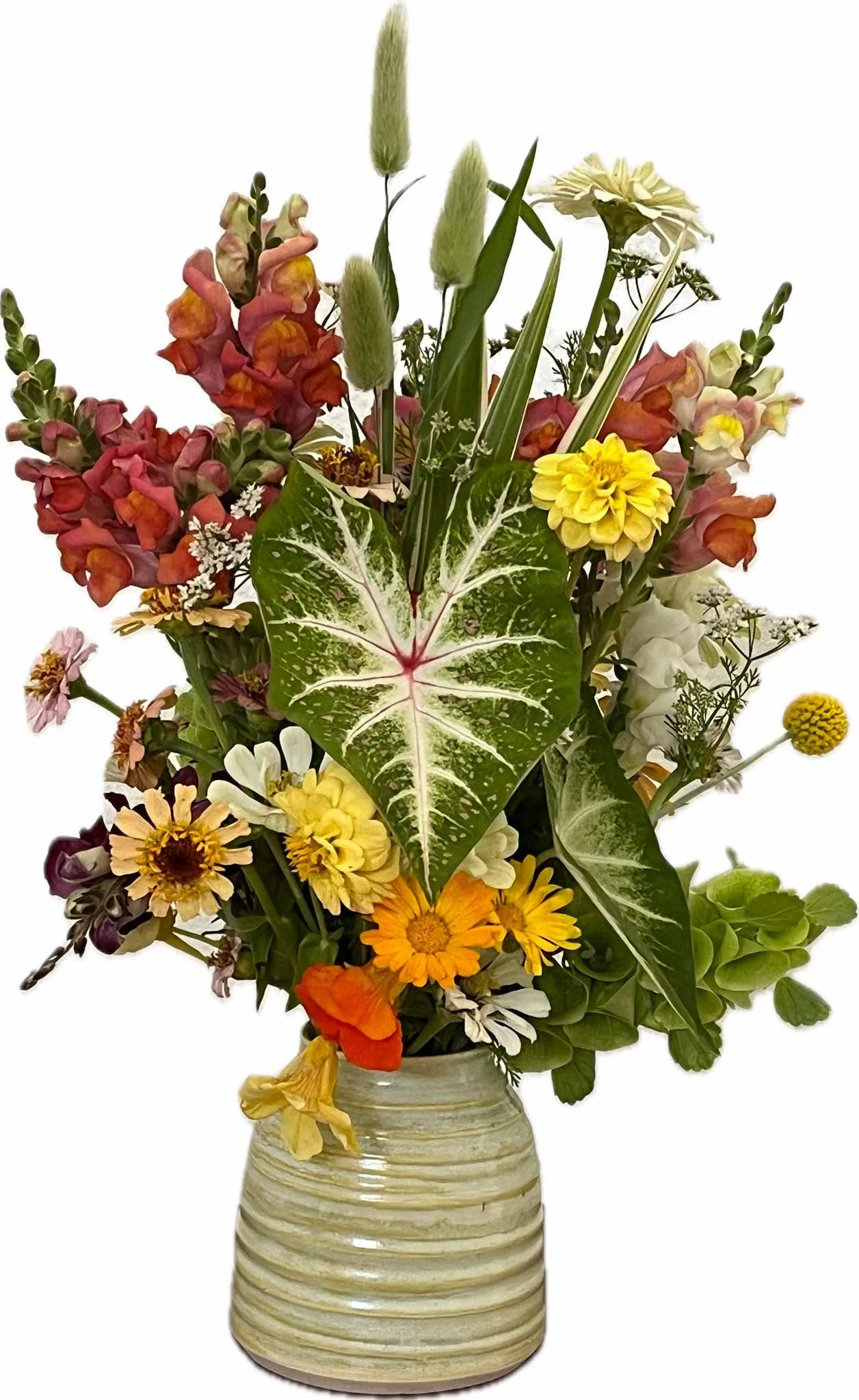 HAHiland-Garden Delights-1.jpg