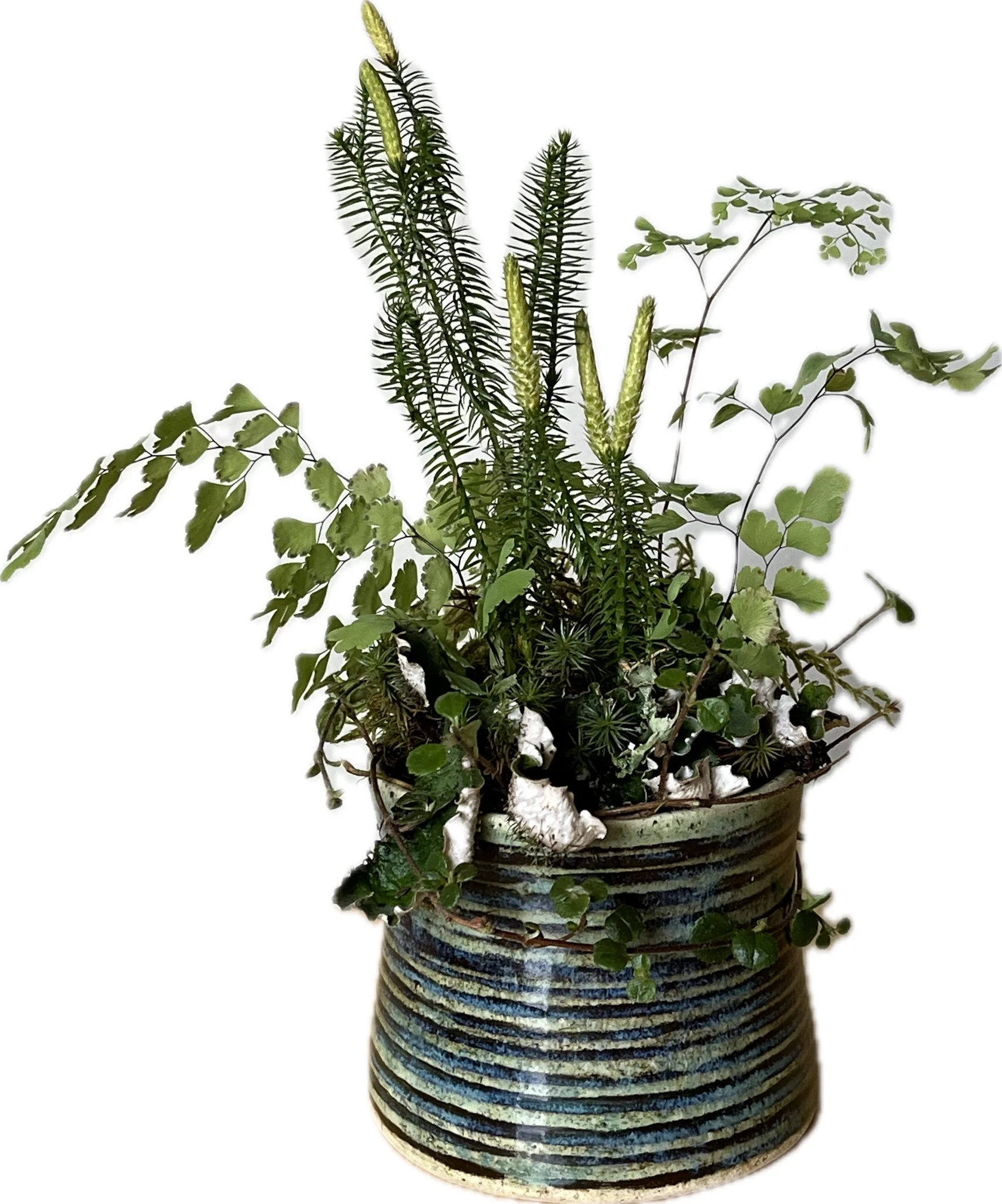 HAHiland- Garden Delicacy- Forest Floor Pottery-1.jpg