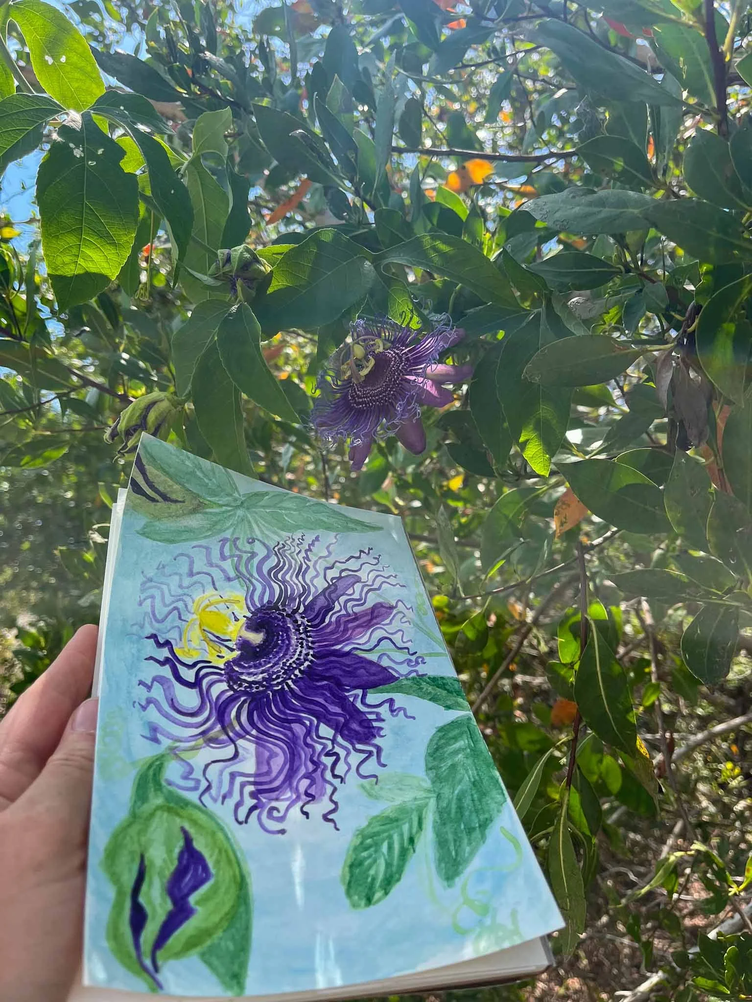 HAHiland- Plein Air Passion-1.jpg